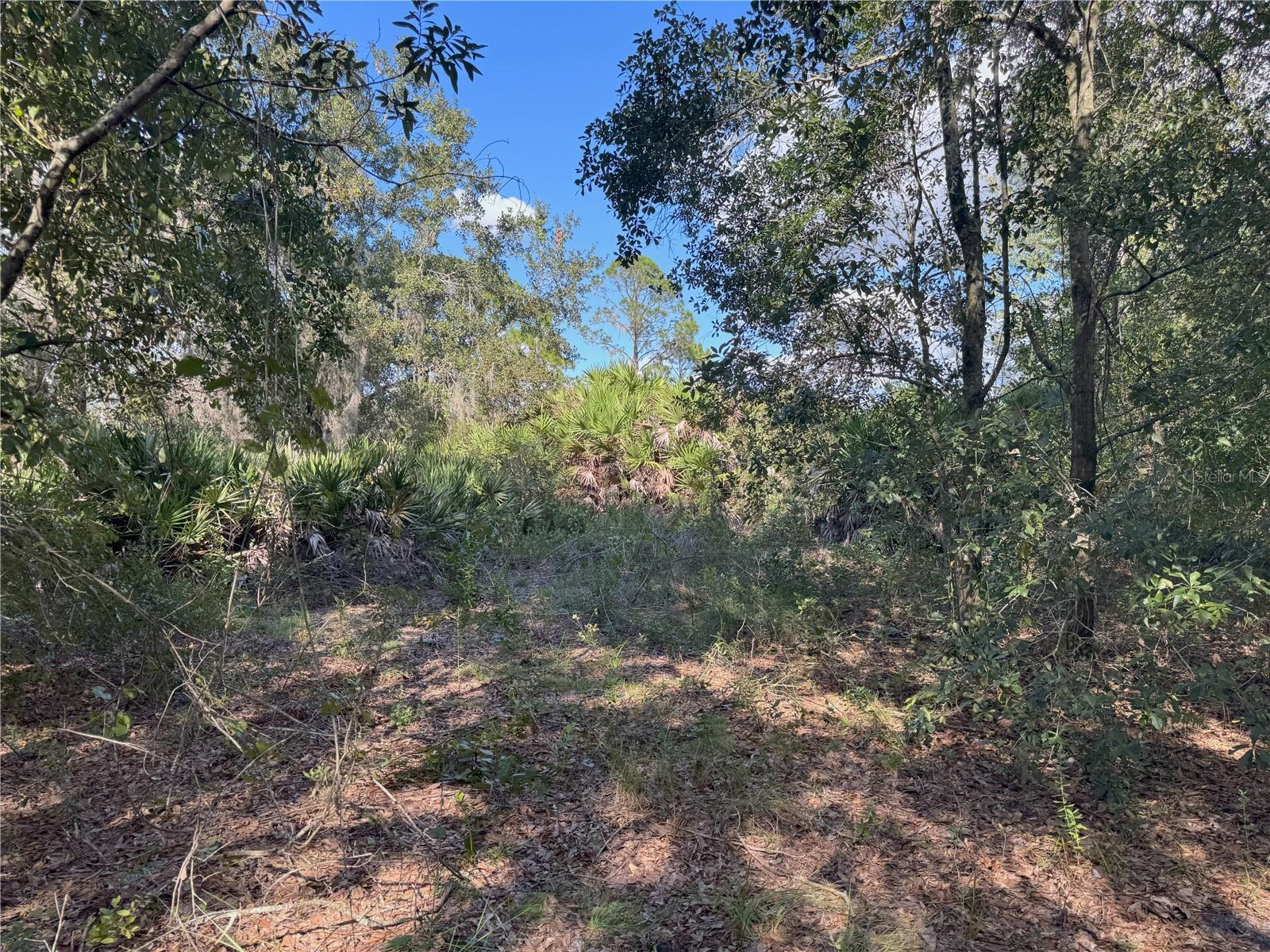 Image 15 of 22 For 0 Alturas Babson Park Cut Off Road