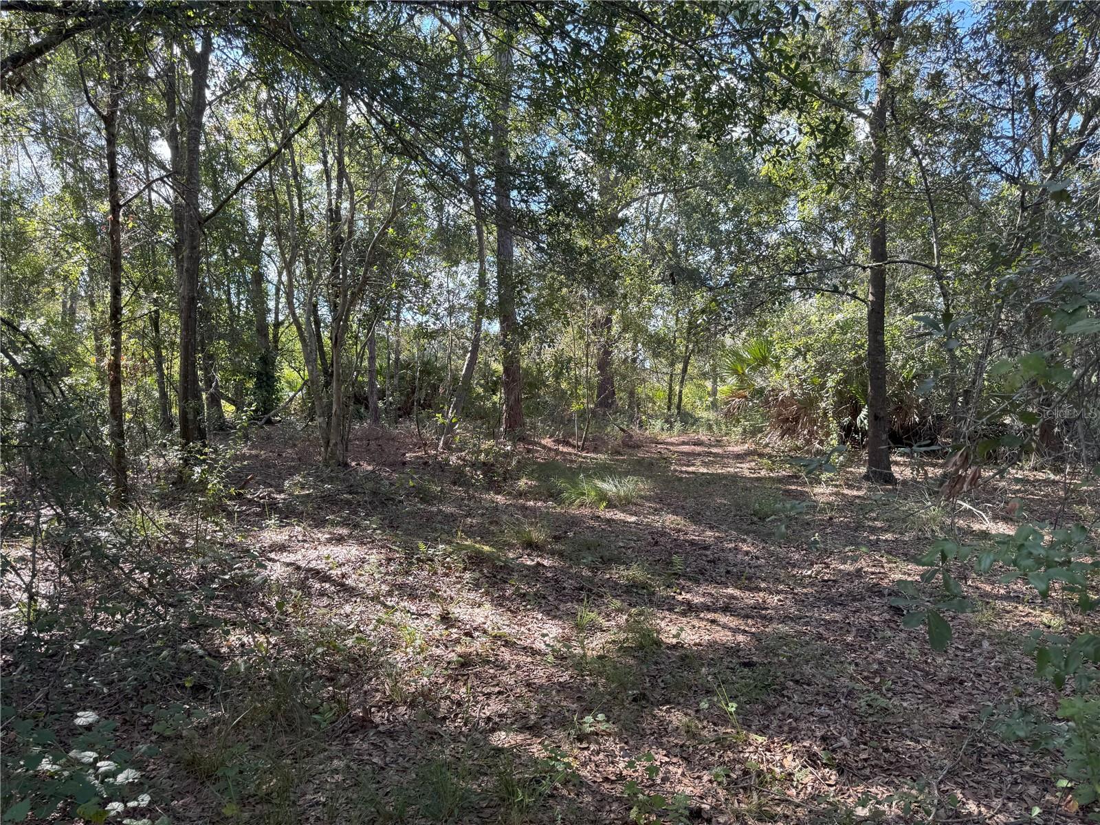 Image 16 of 22 For 0 Alturas Babson Park Cut Off Road