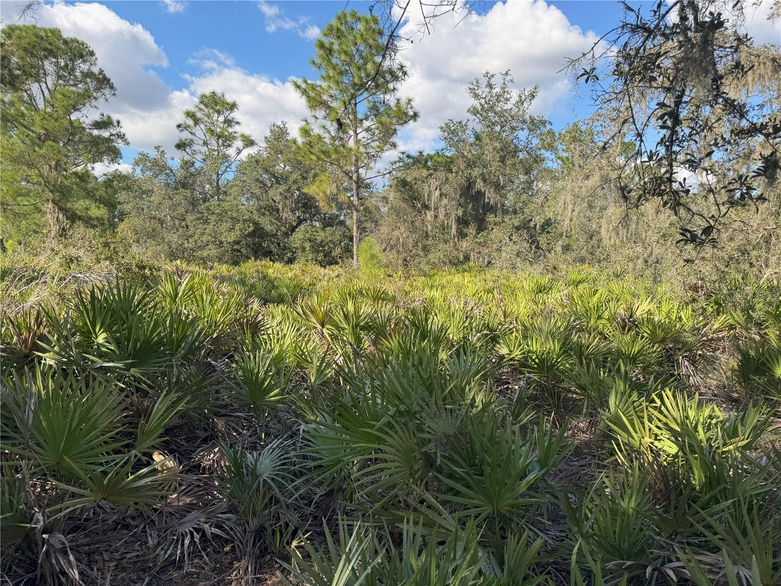 Image 19 of 22 For 0 Alturas Babson Park Cut Off Road
