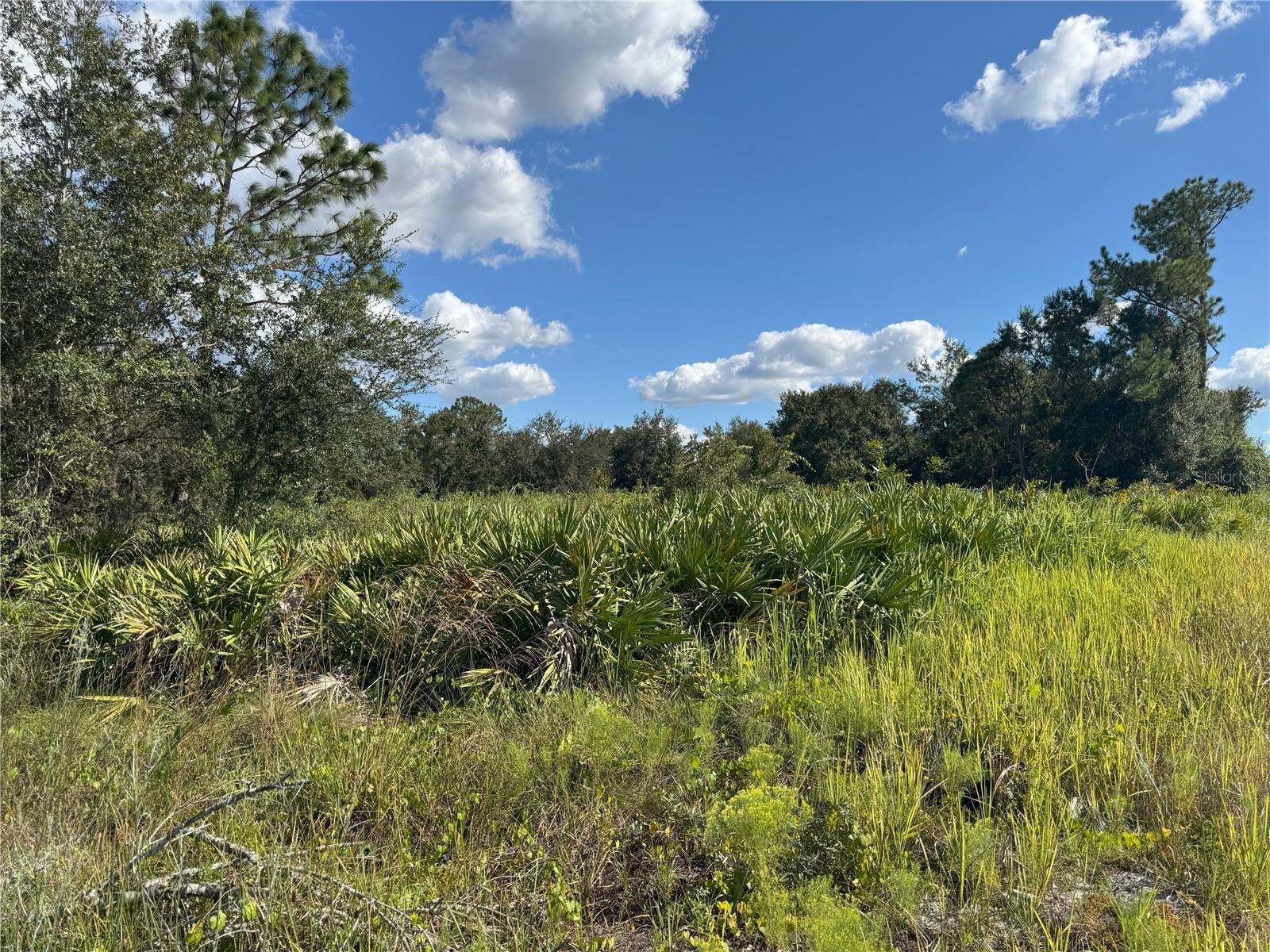 Image 20 of 22 For 0 Alturas Babson Park Cut Off Road