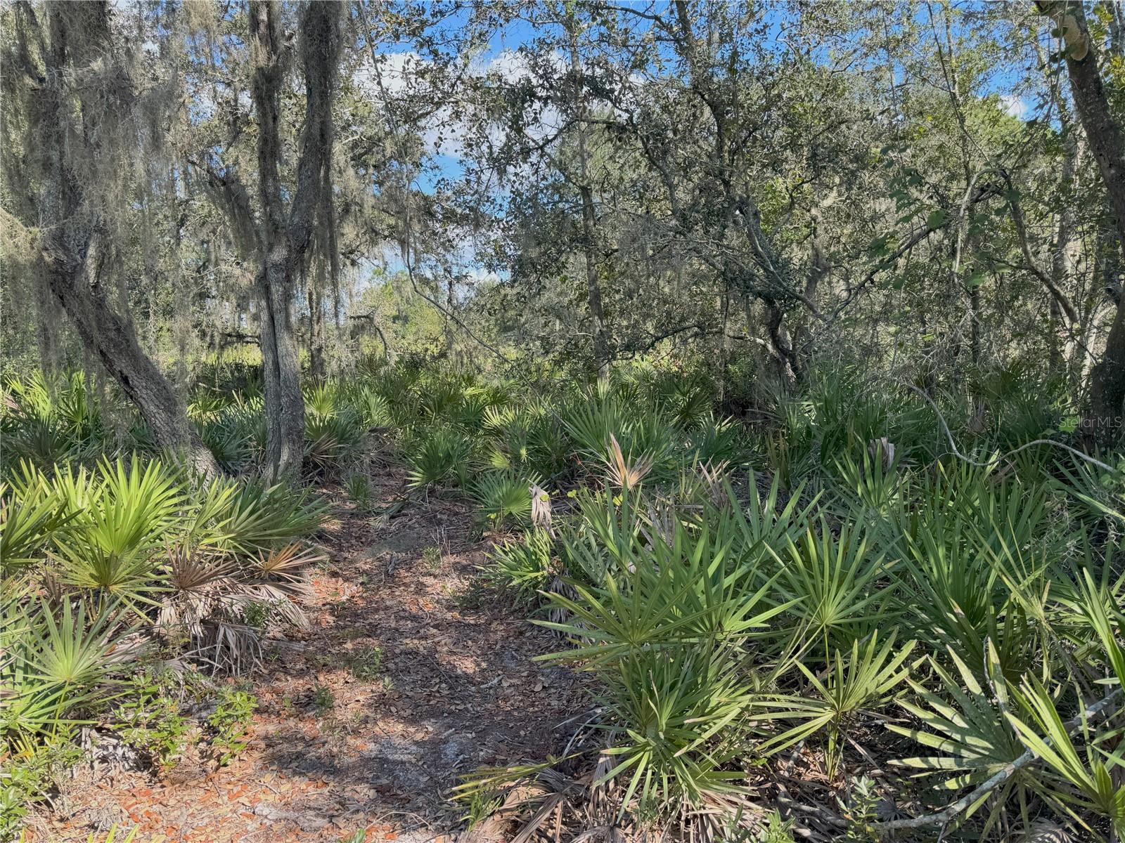 Image 5 of 22 For 0 Alturas Babson Park Cut Off Road