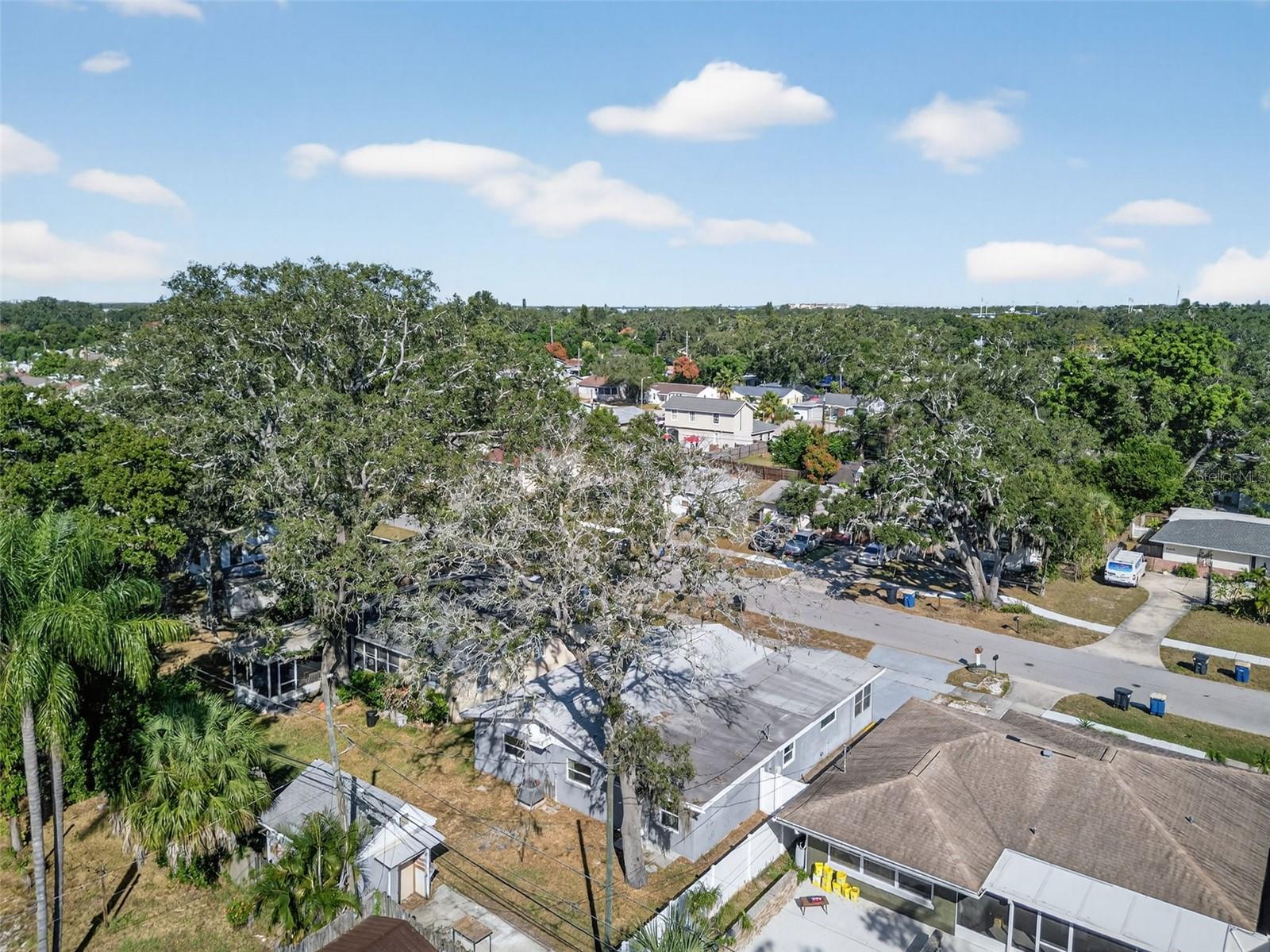 Image 63 of 63 For 1271 Bermuda Street