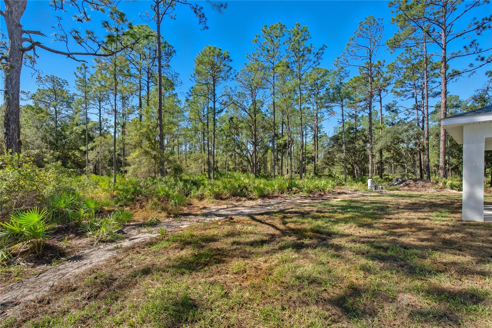 Image 40 of 47 For 11240 Dragonhead Drive