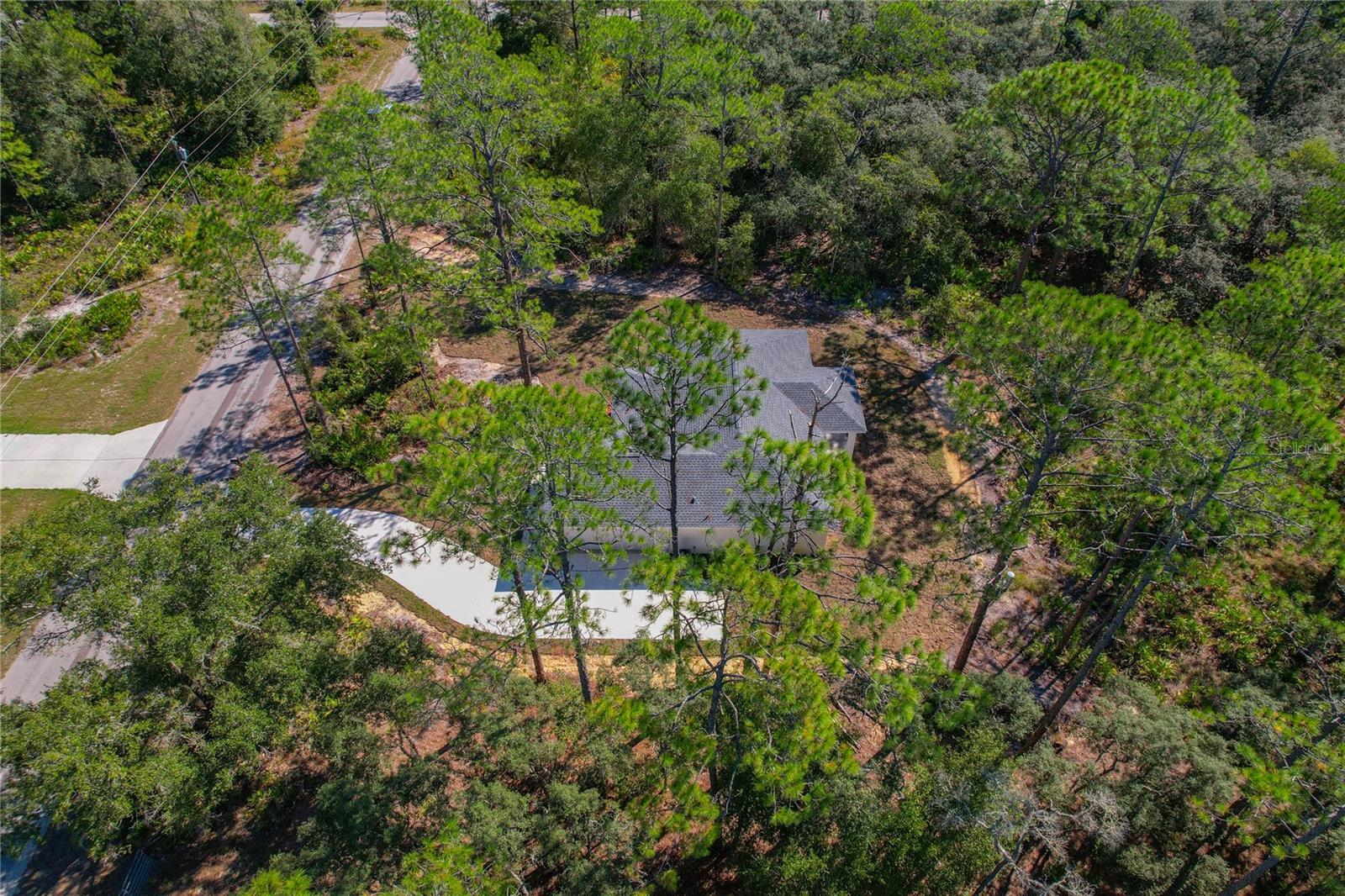 Image 42 of 47 For 11240 Dragonhead Drive
