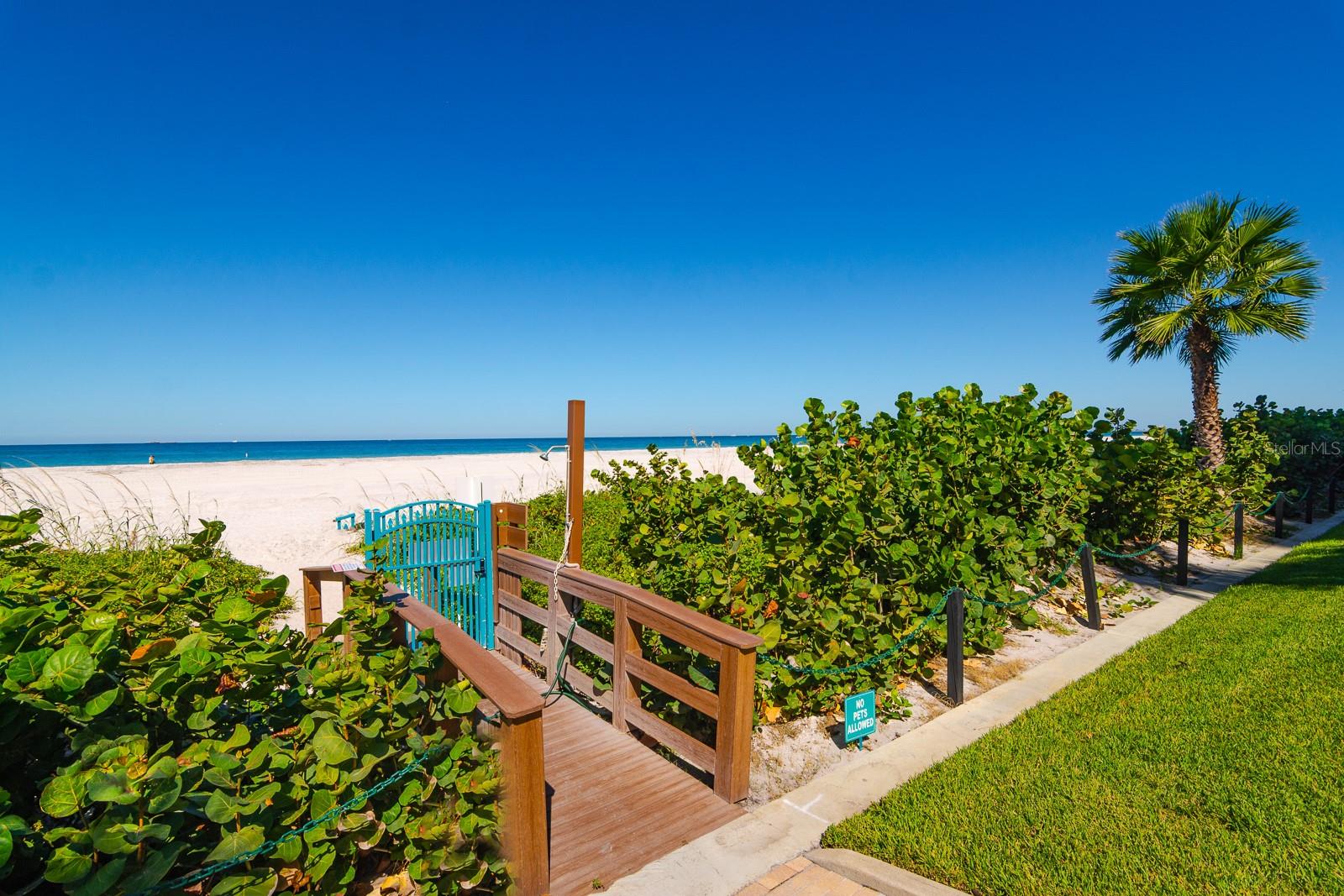 Image 56 of 94 For 1560 Gulf Boulevard 1507