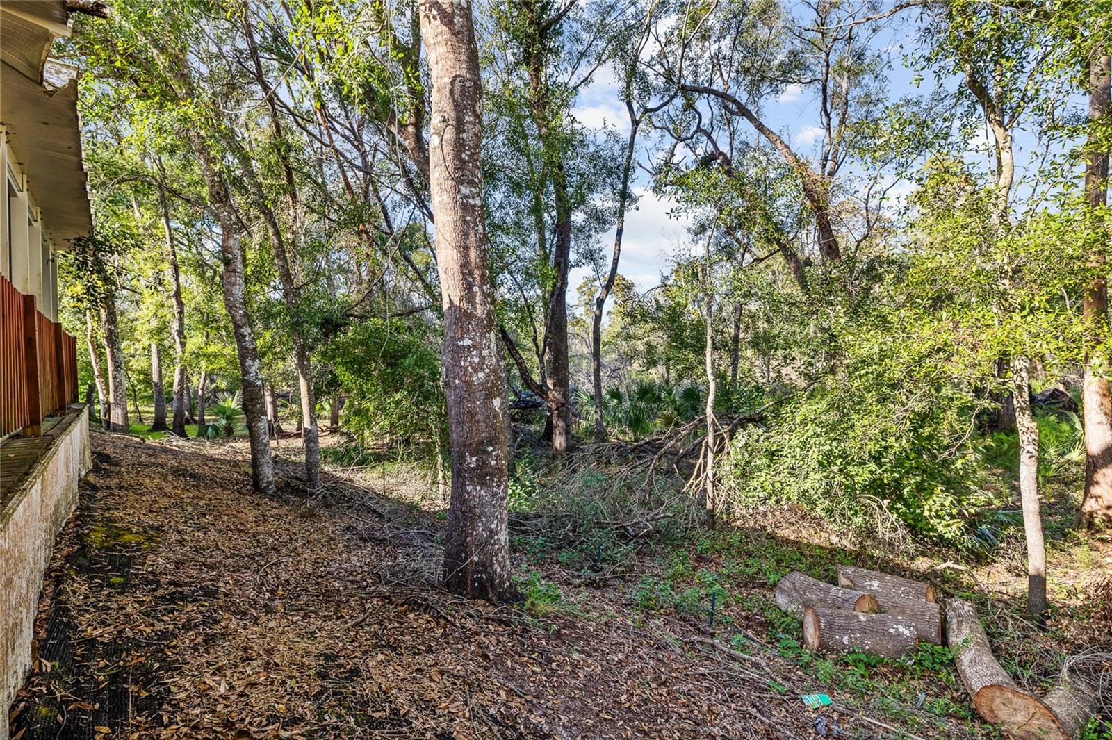 Image 22 of 42 For 24437 Painter Drive