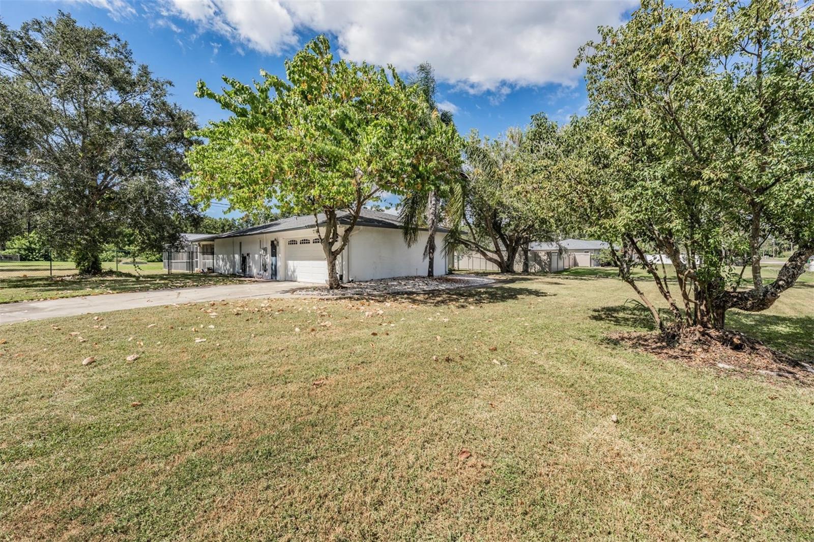 Listing photo id 41 for 1770 Braxton Bragg Lane