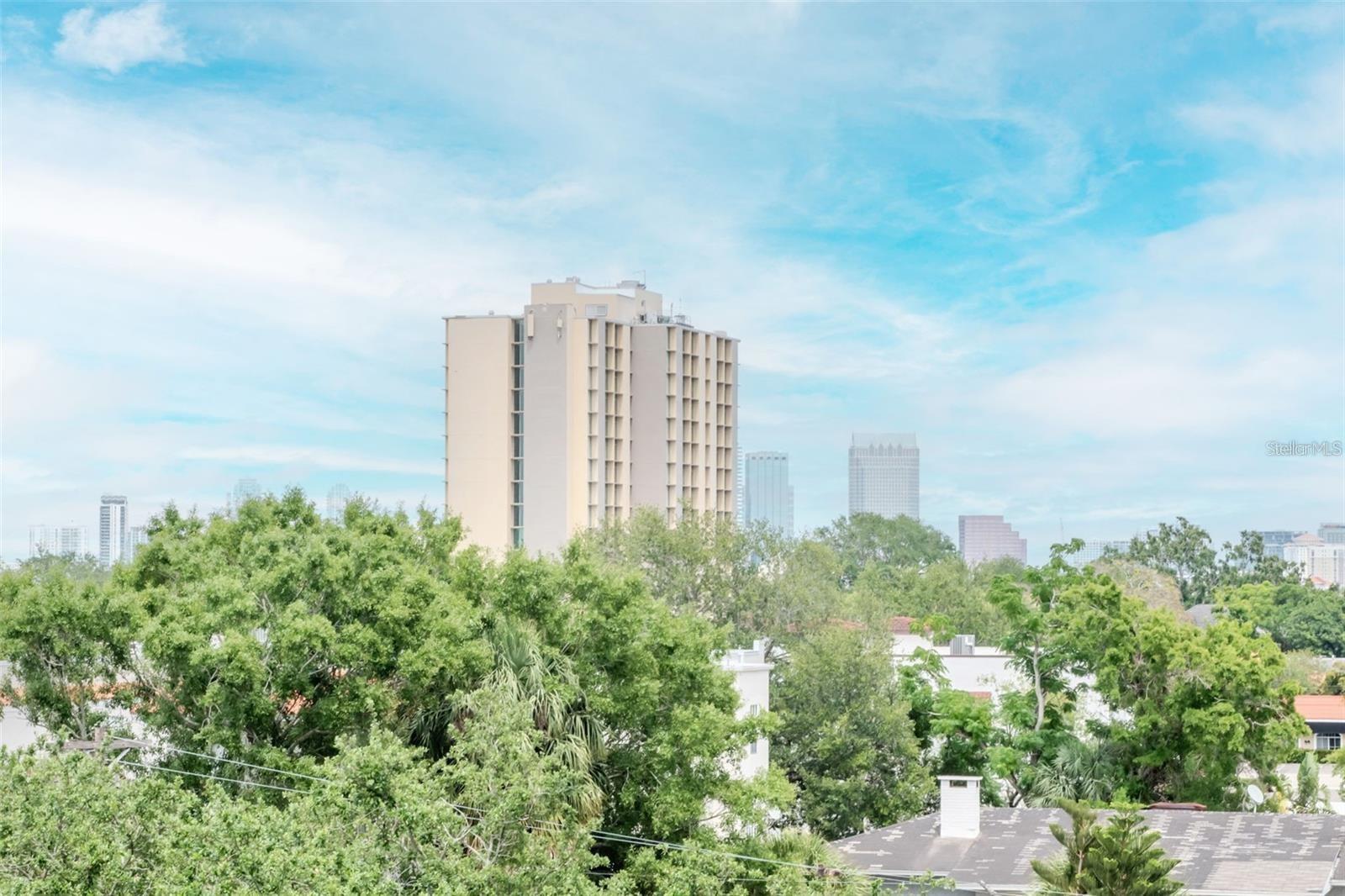 Image 10 of 18 For 3211 Swann Avenue 502