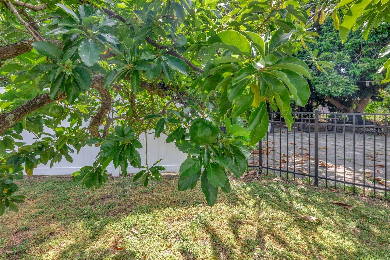 Image 45 of 52 For 2098 35th Street N