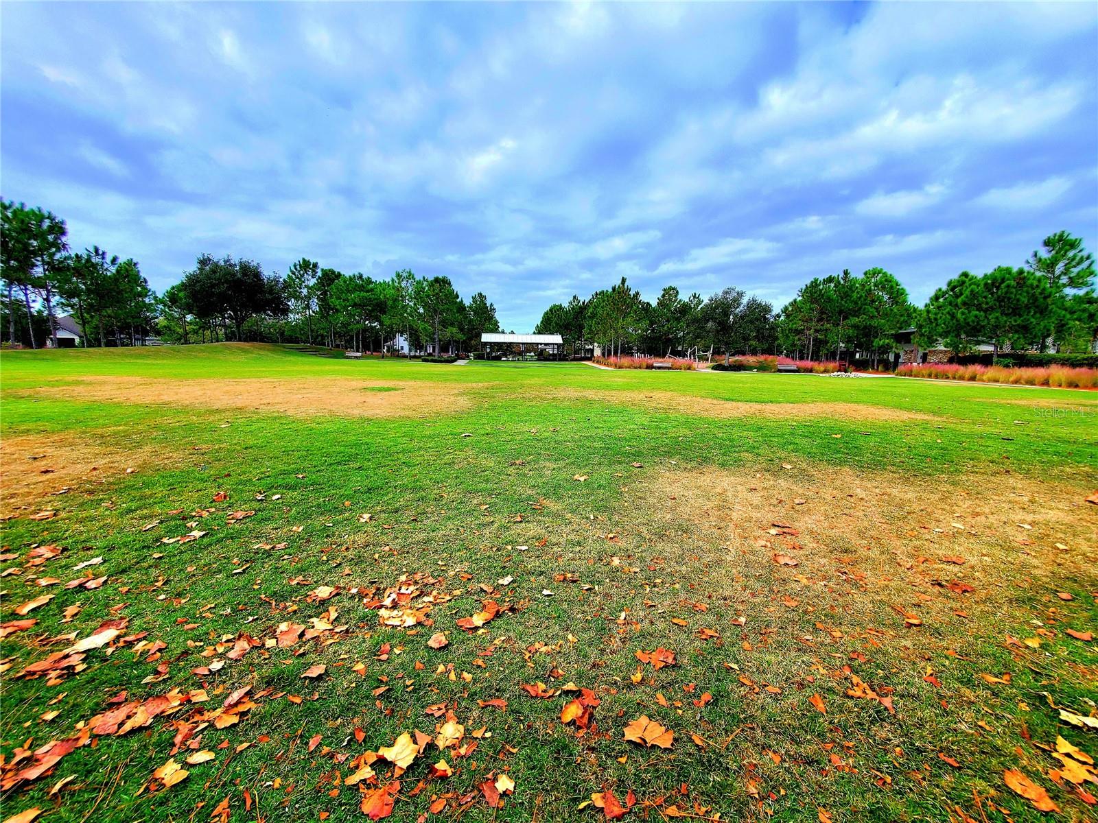 Image 40 of 47 For 12676 Rangeland Boulevard