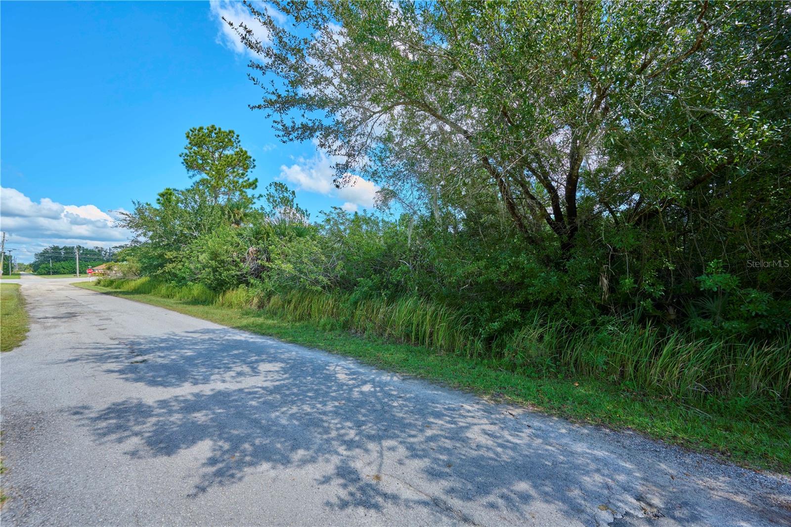 Image 5 of 9 For 2 Amaryllis Drive