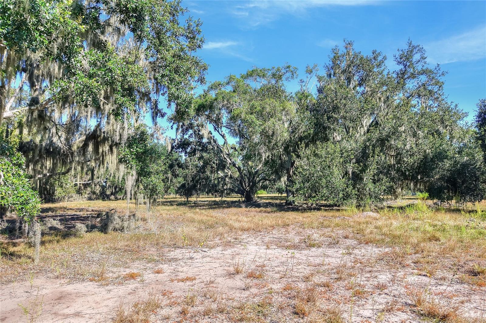 Listing photo id 2 for 470 Moccasin Hollow Road