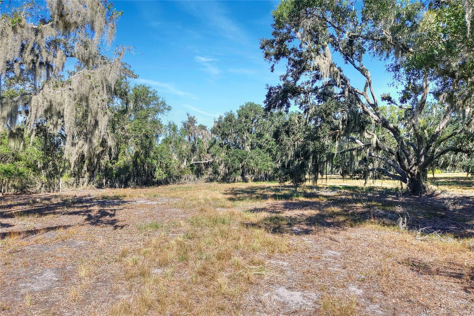 Listing photo id 3 for 470 Moccasin Hollow Road