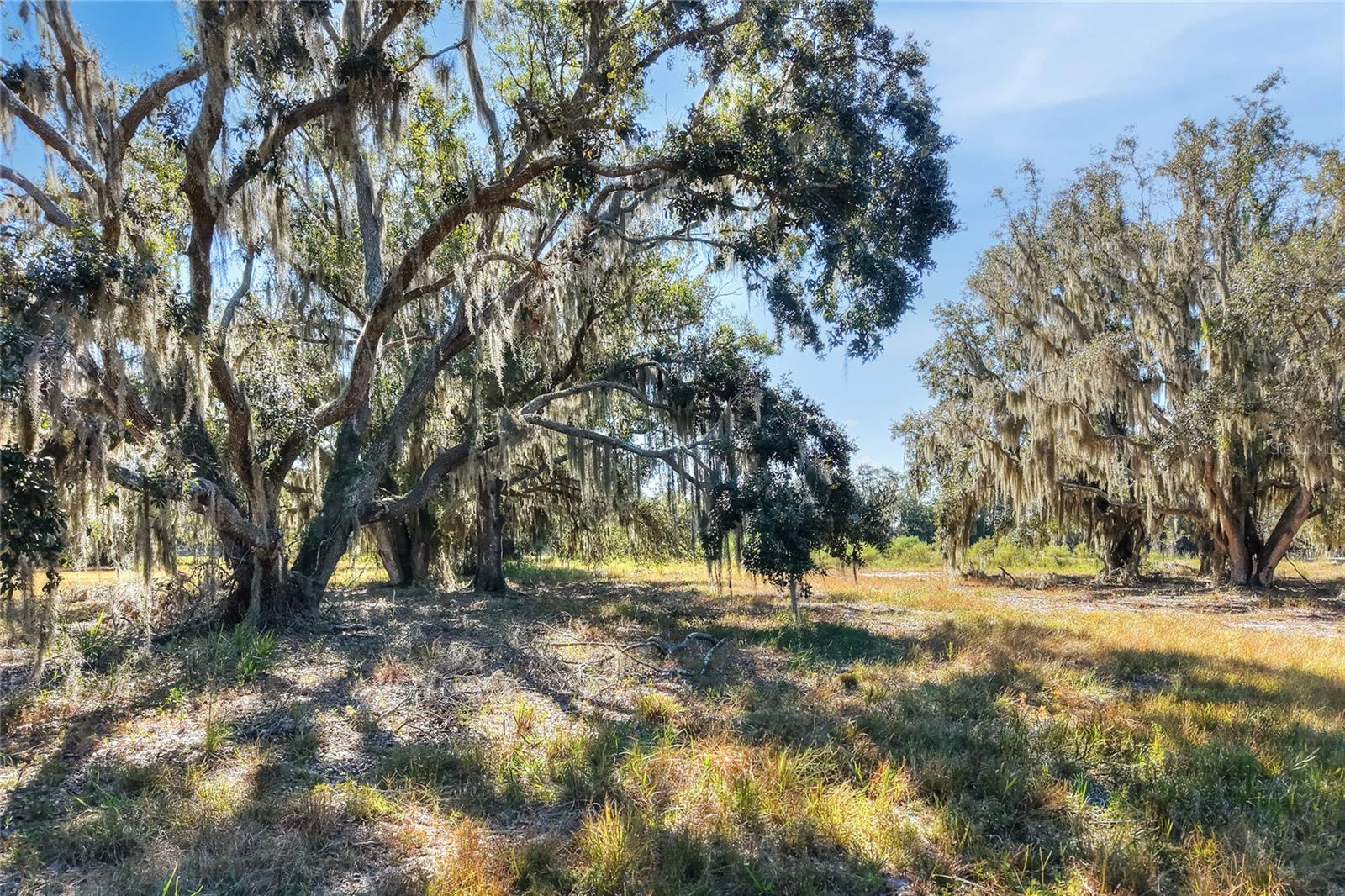 Listing photo id 4 for 470 Moccasin Hollow Road