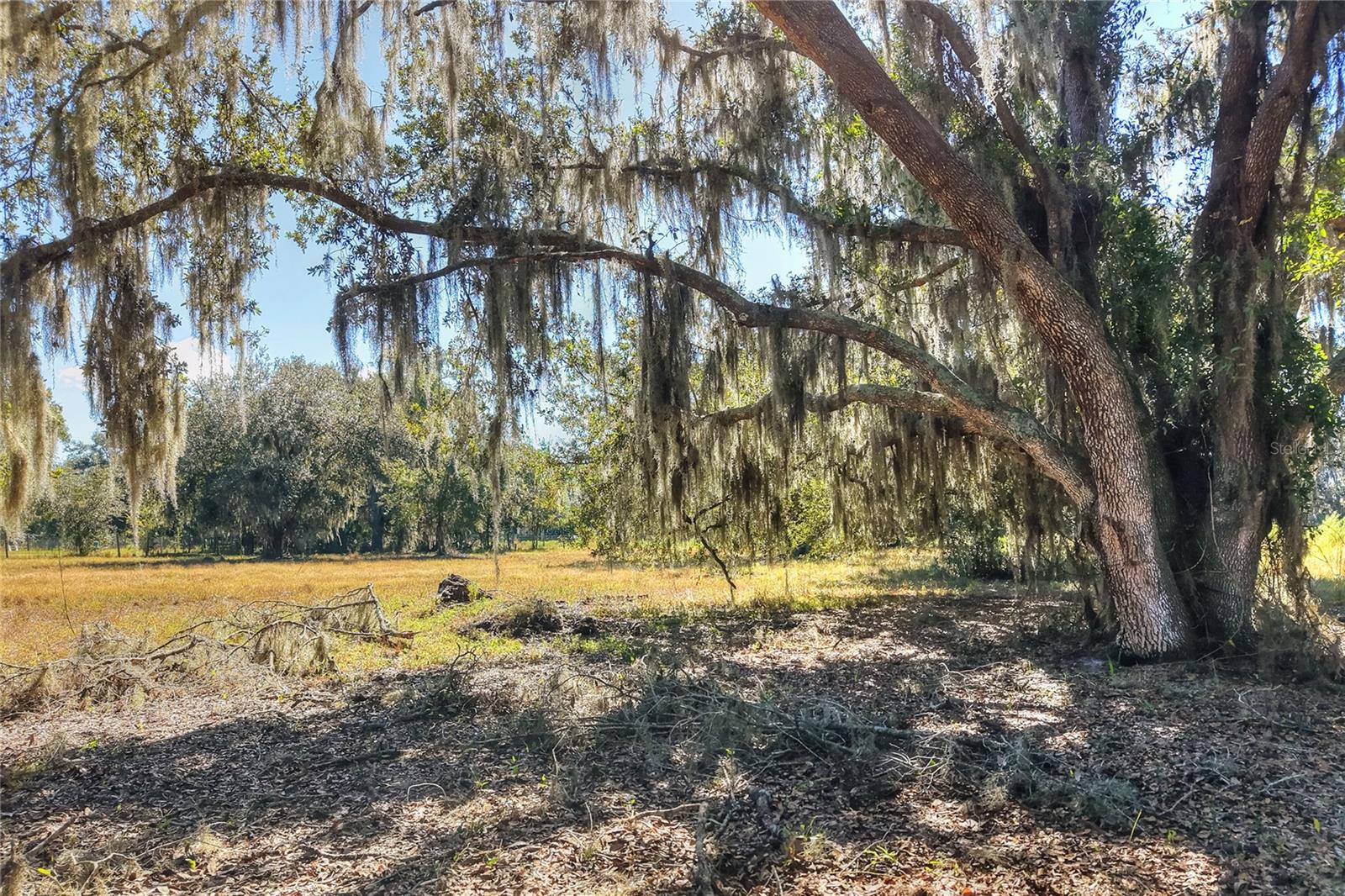 Listing photo id 5 for 470 Moccasin Hollow Road