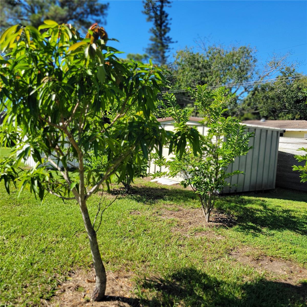 Image 49 of 65 For 11596 Oval Drive E