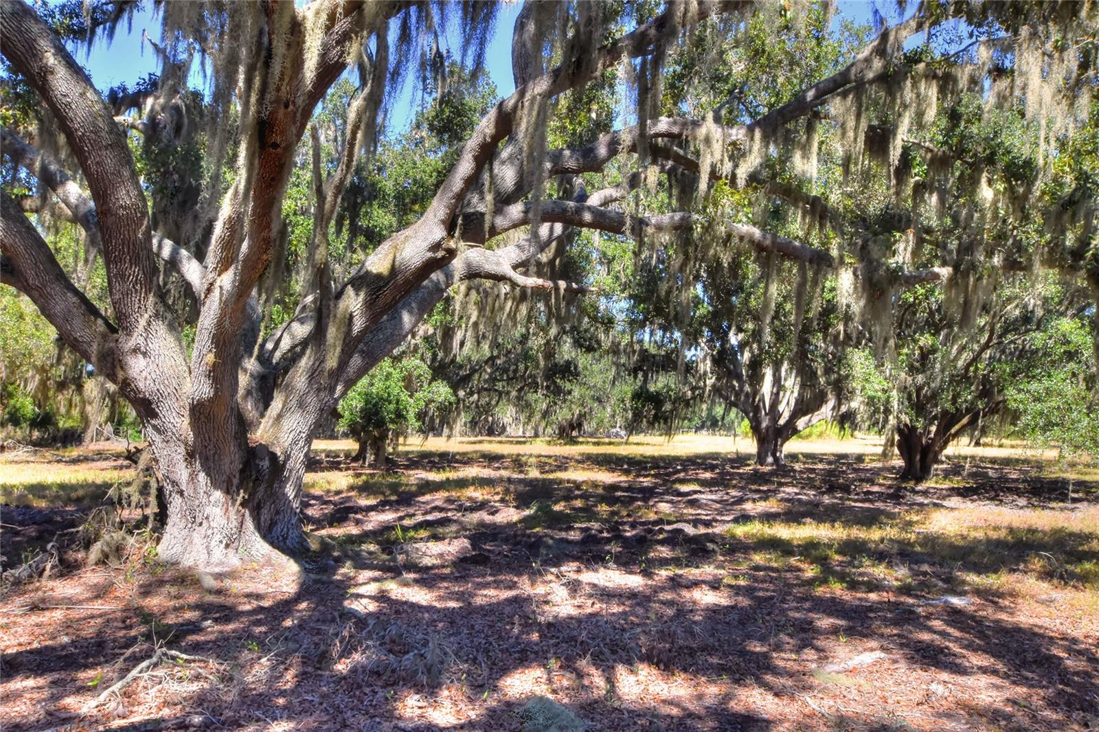 Details for 480 Moccasin Hollow Road, LITHIA, FL 33547