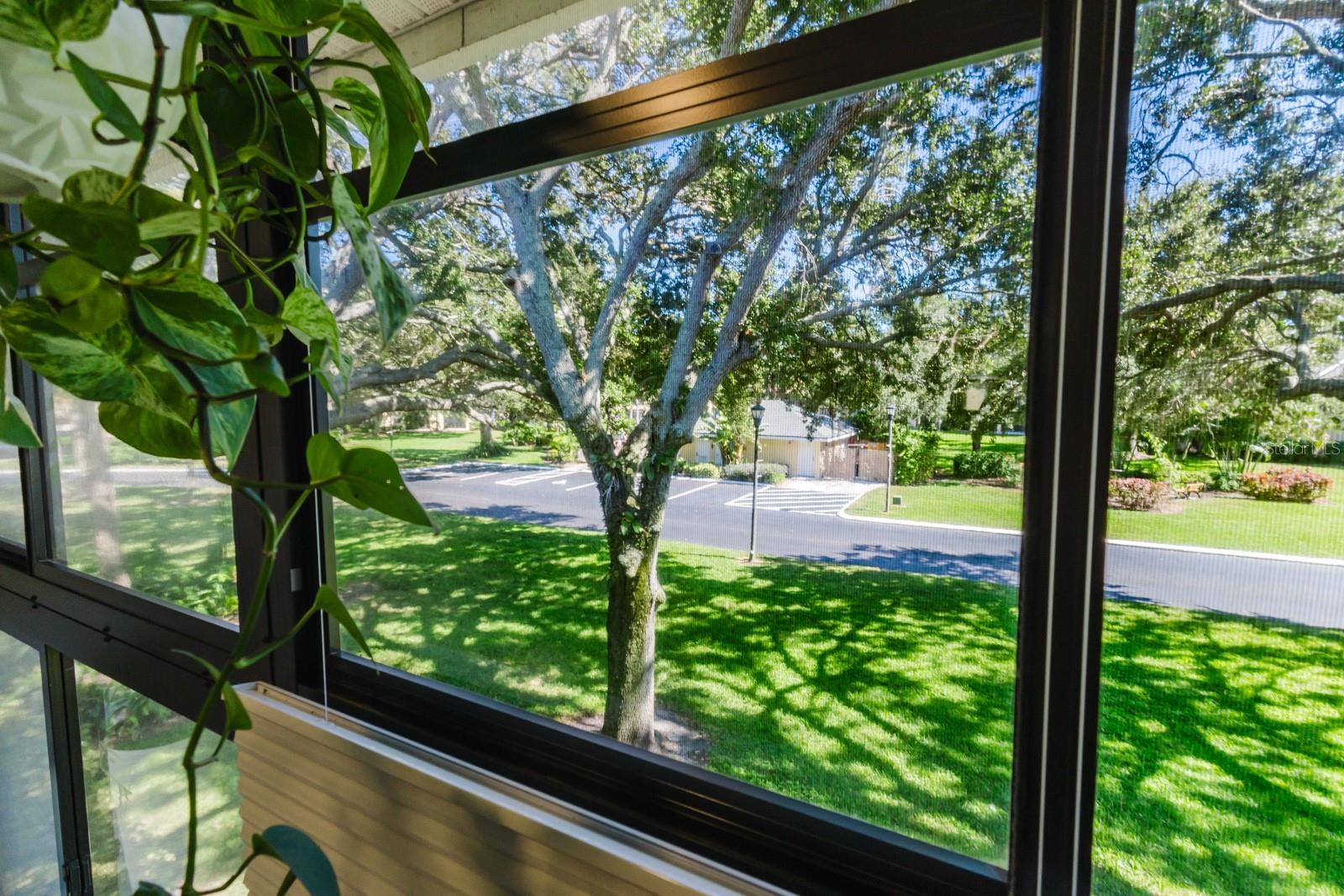 Listing photo id 28 for 3001 58th Avenue S 108