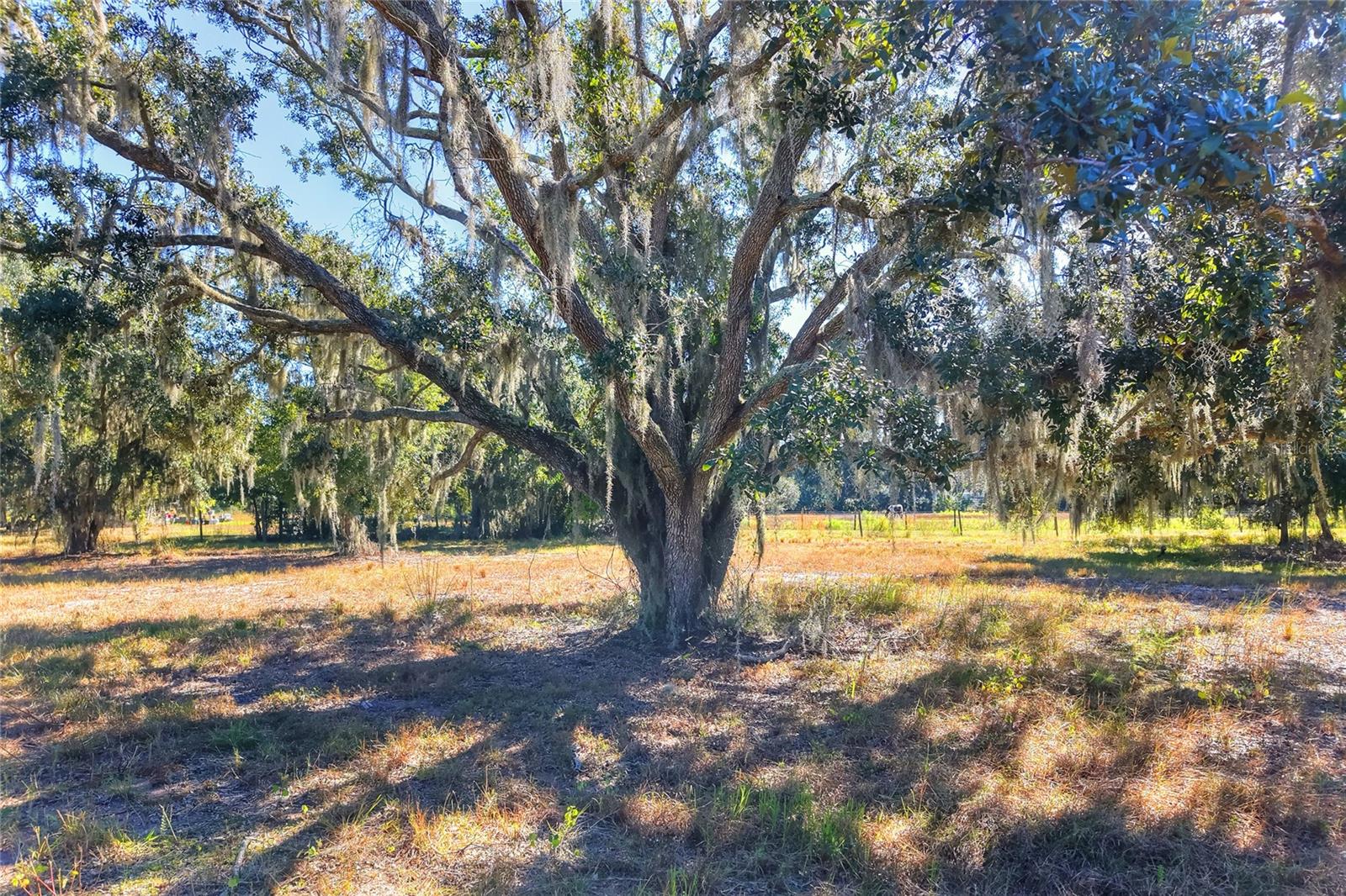 Listing photo id 1 for 462 Moccasin Hollow Road