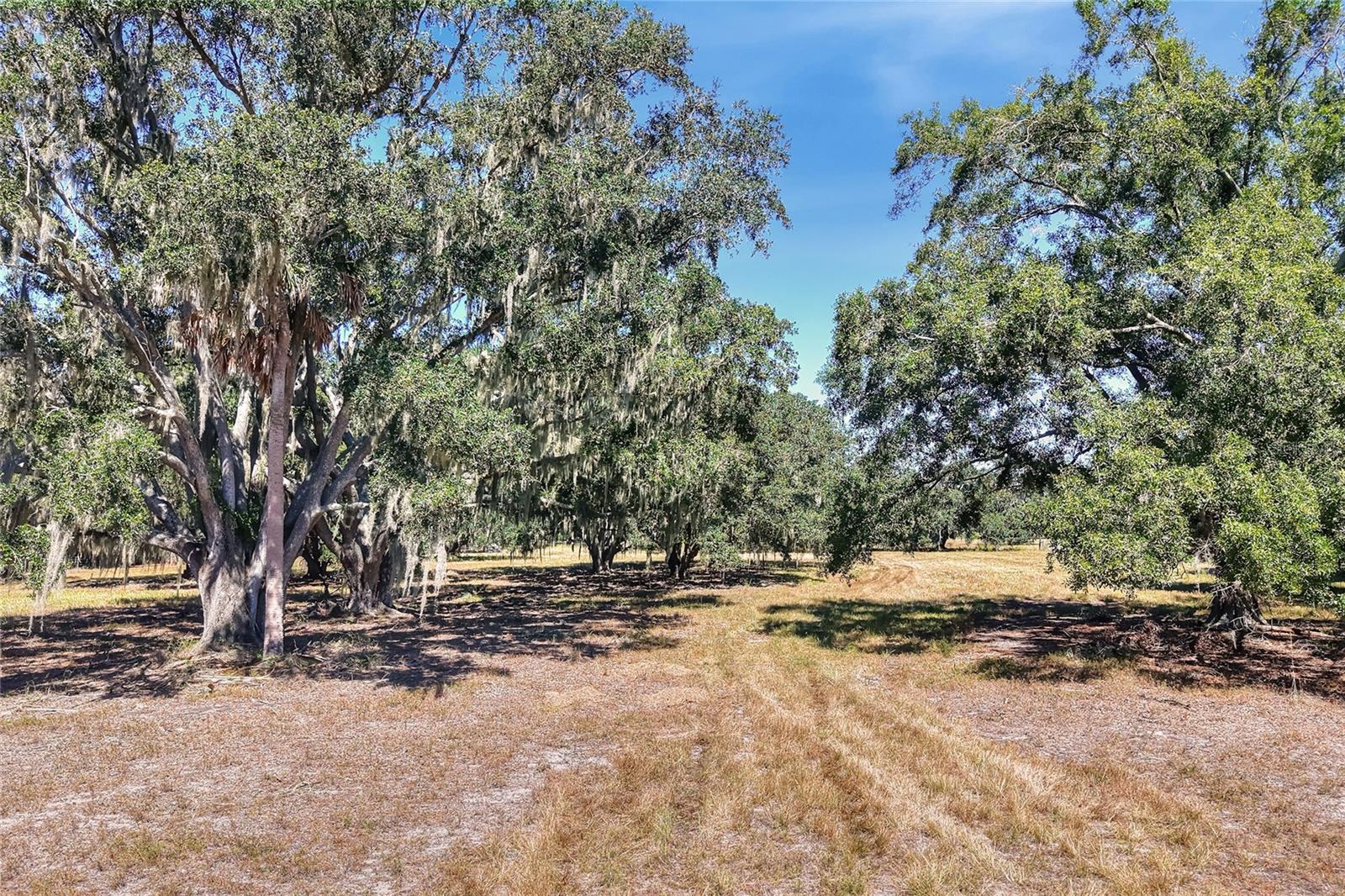 Listing photo id 2 for 462 Moccasin Hollow Road