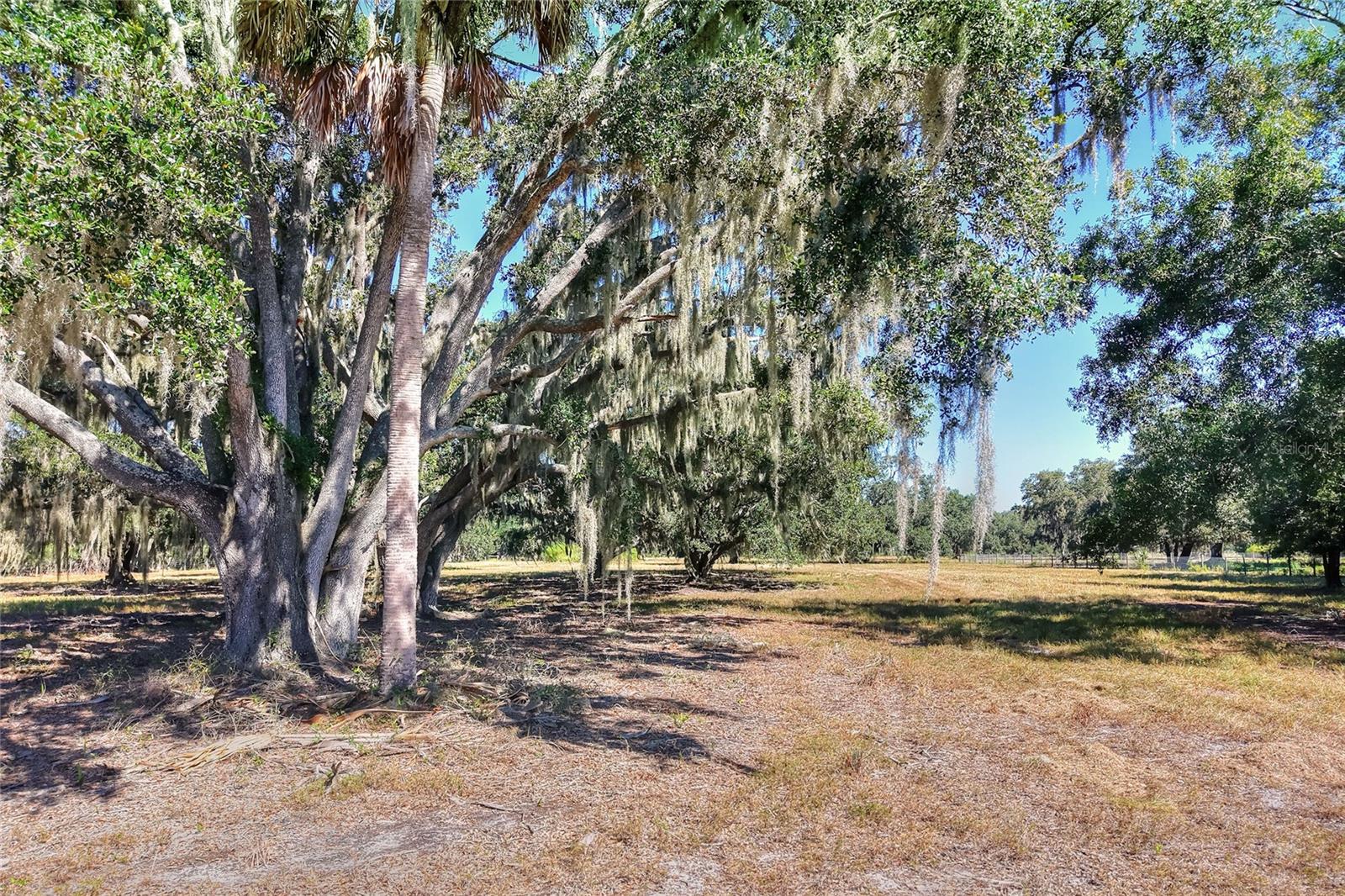 Listing photo id 3 for 462 Moccasin Hollow Road