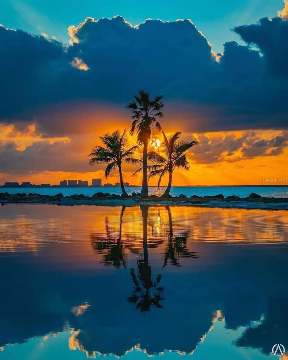 Image 35 of 35 For 7 Sea Gull Terrace