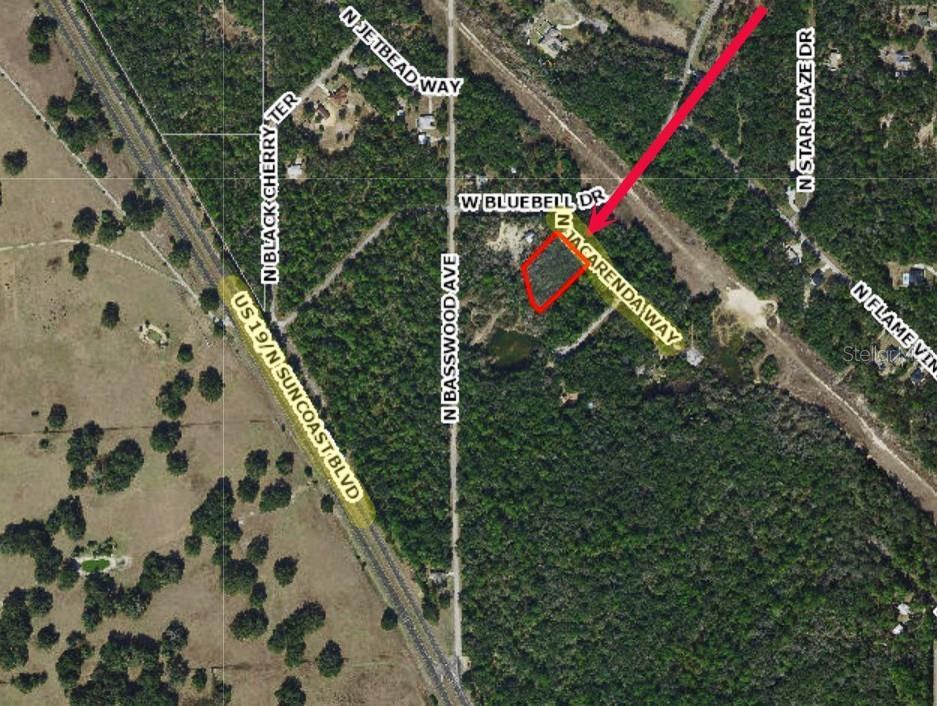 Image 4 of 14 For 8124 Jacaranda Way