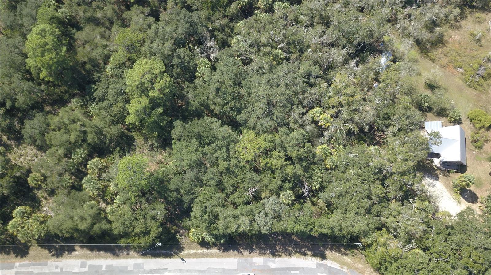 Image 8 of 14 For 8124 Jacaranda Way