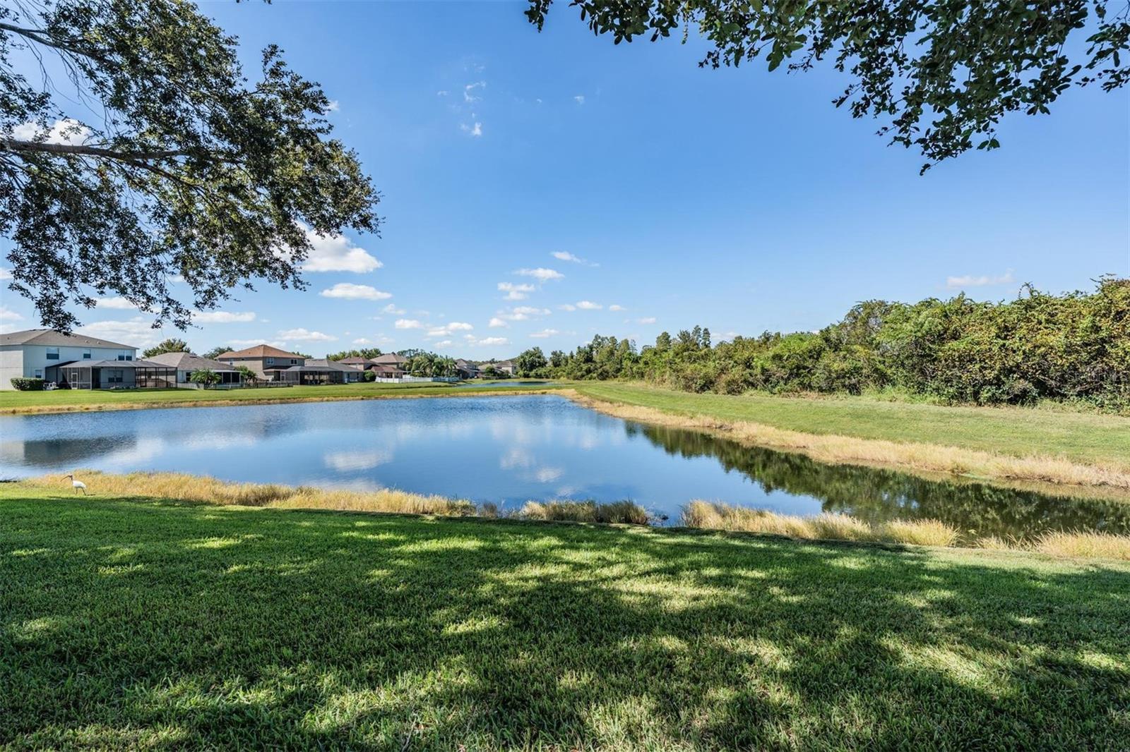 Image 33 of 50 For 9551 Jaybird Lane