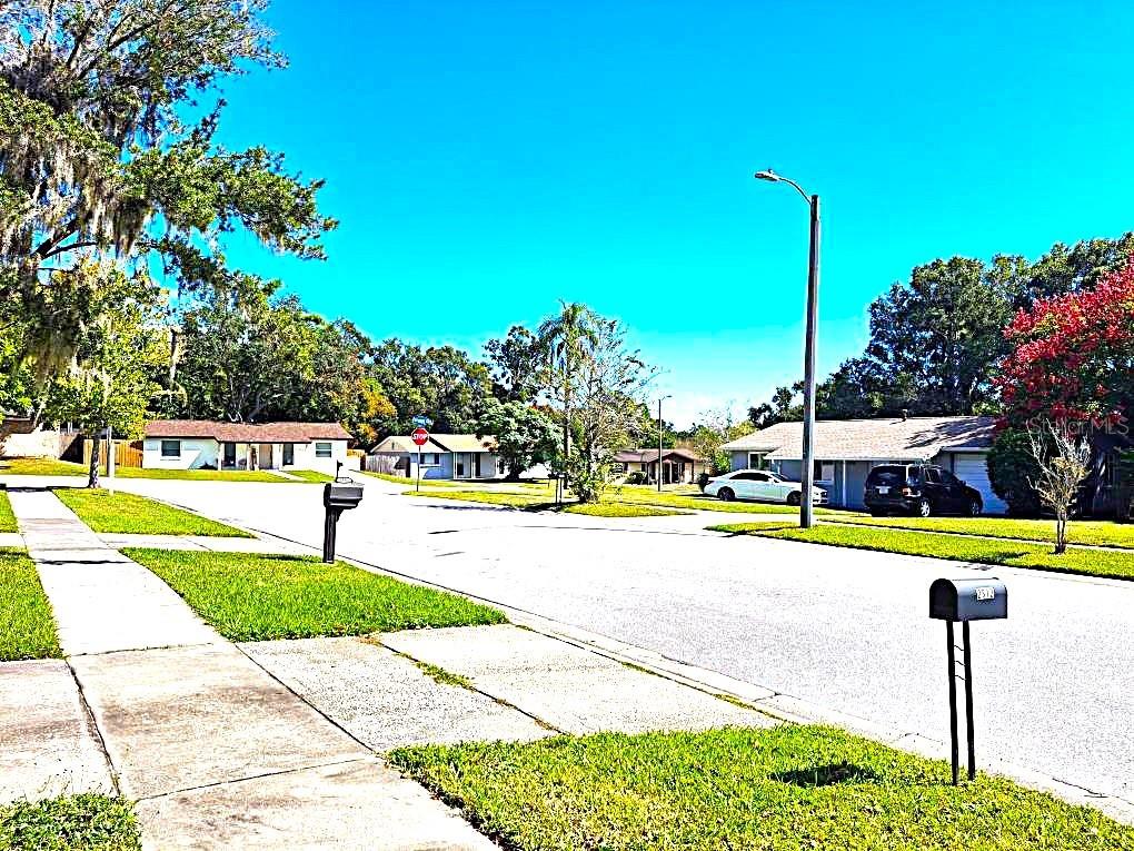 Image 23 of 23 For 2812 Dovewood Street