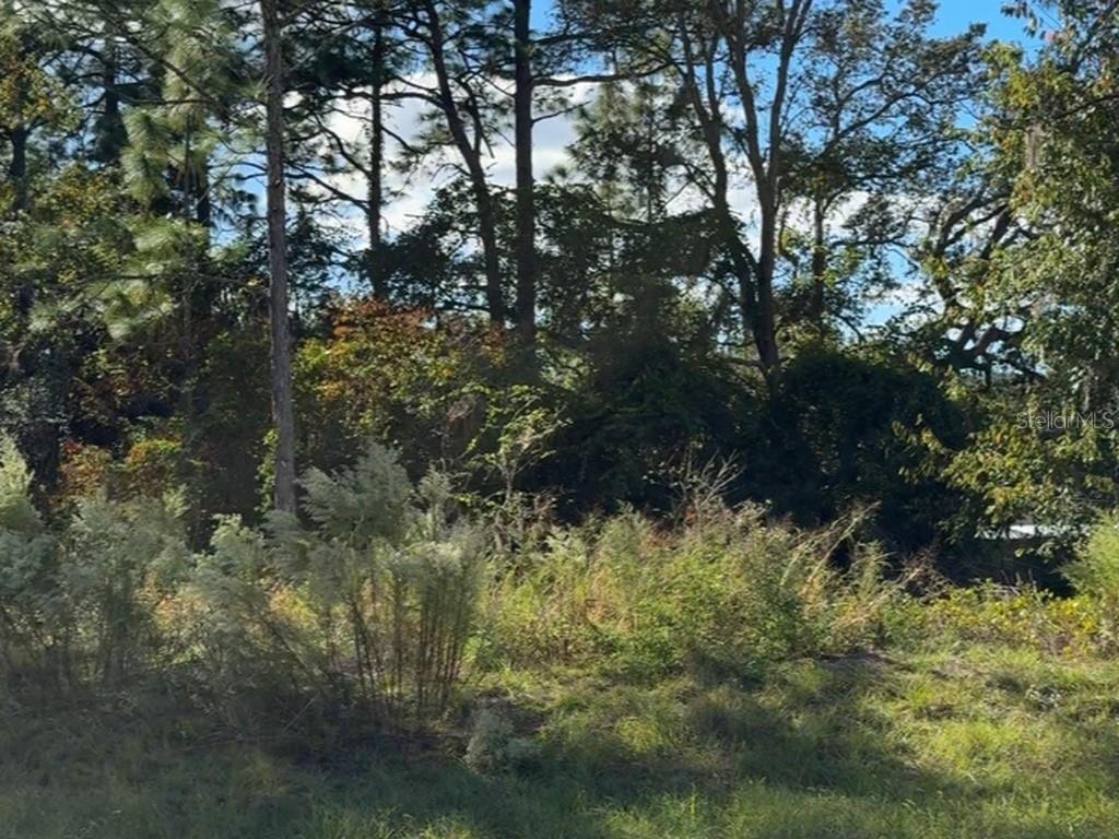 Details for 7800 Primrose Drive, CITRUS SPRINGS, FL 34434