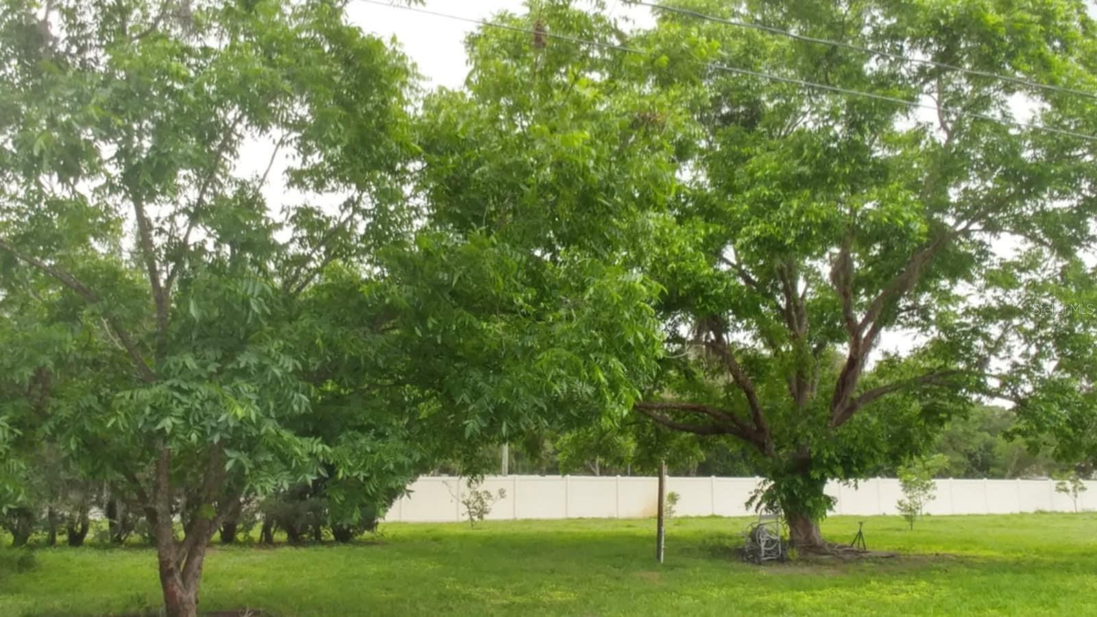 Image 4 of 11 For 417 Trout Lake Court