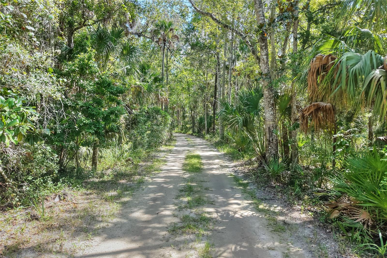 Image 10 of 32 For Pine Island Drive