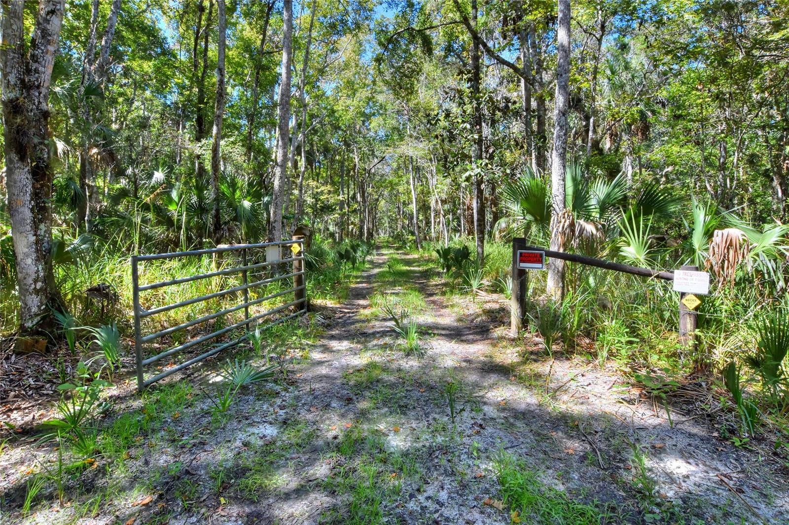 Image 11 of 32 For Pine Island Drive