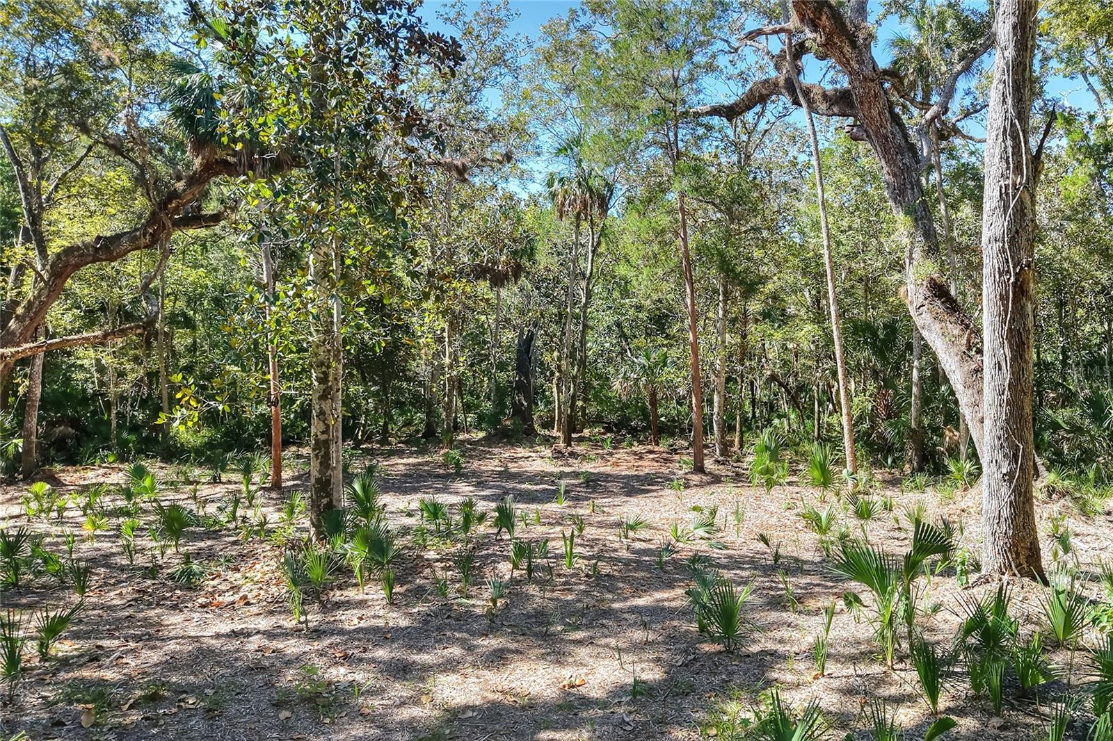 Image 13 of 32 For Pine Island Drive