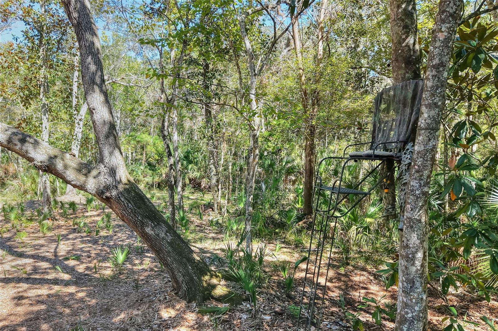 Image 17 of 32 For Pine Island Drive