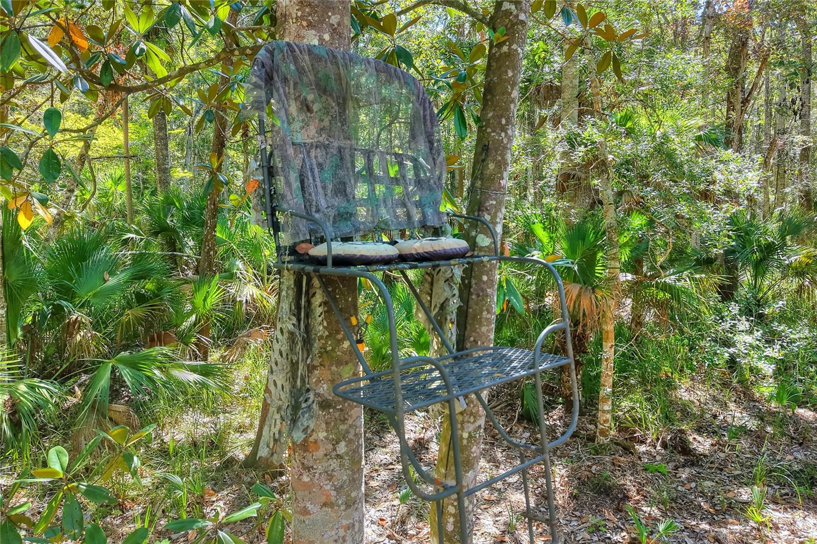 Image 20 of 32 For Pine Island Drive