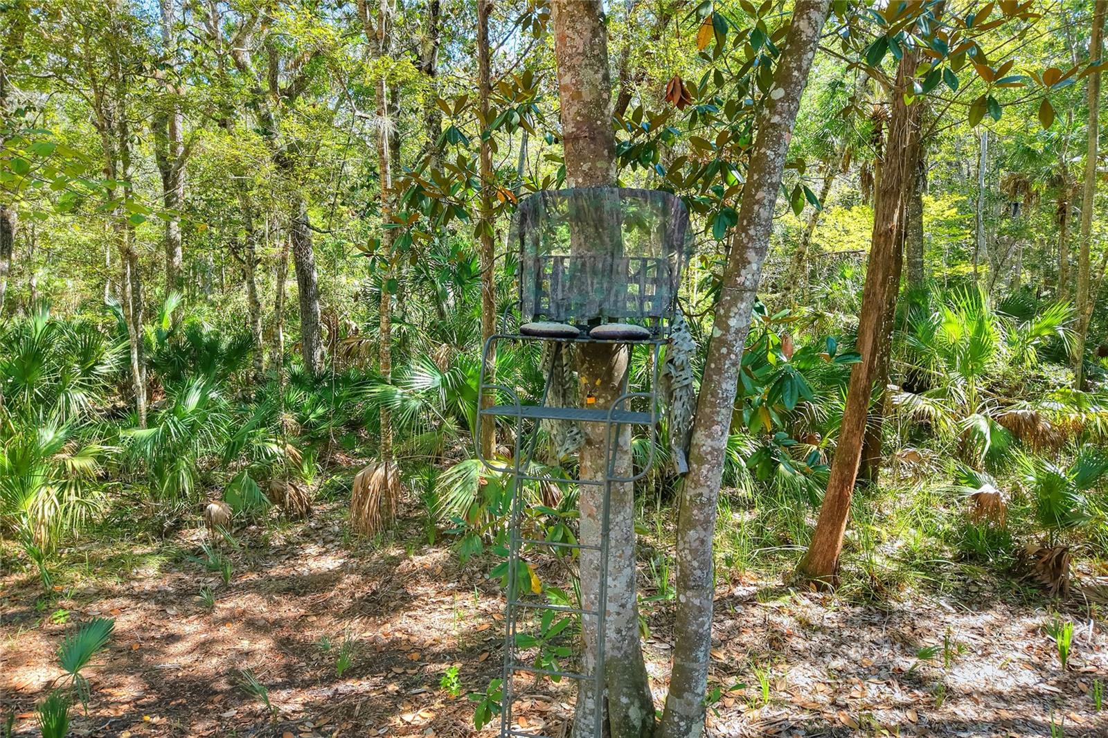 Image 21 of 32 For Pine Island Drive