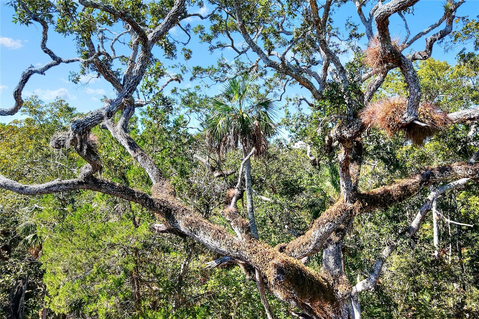 Image 24 of 32 For Pine Island Drive