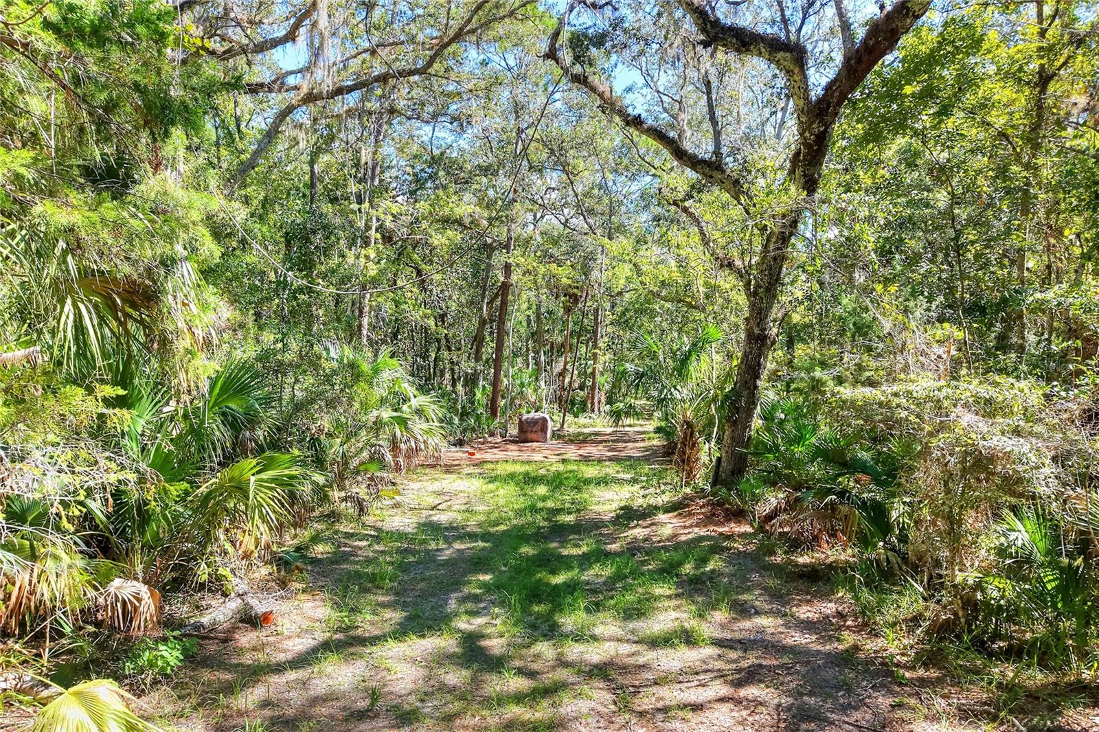 Image 25 of 32 For Pine Island Drive