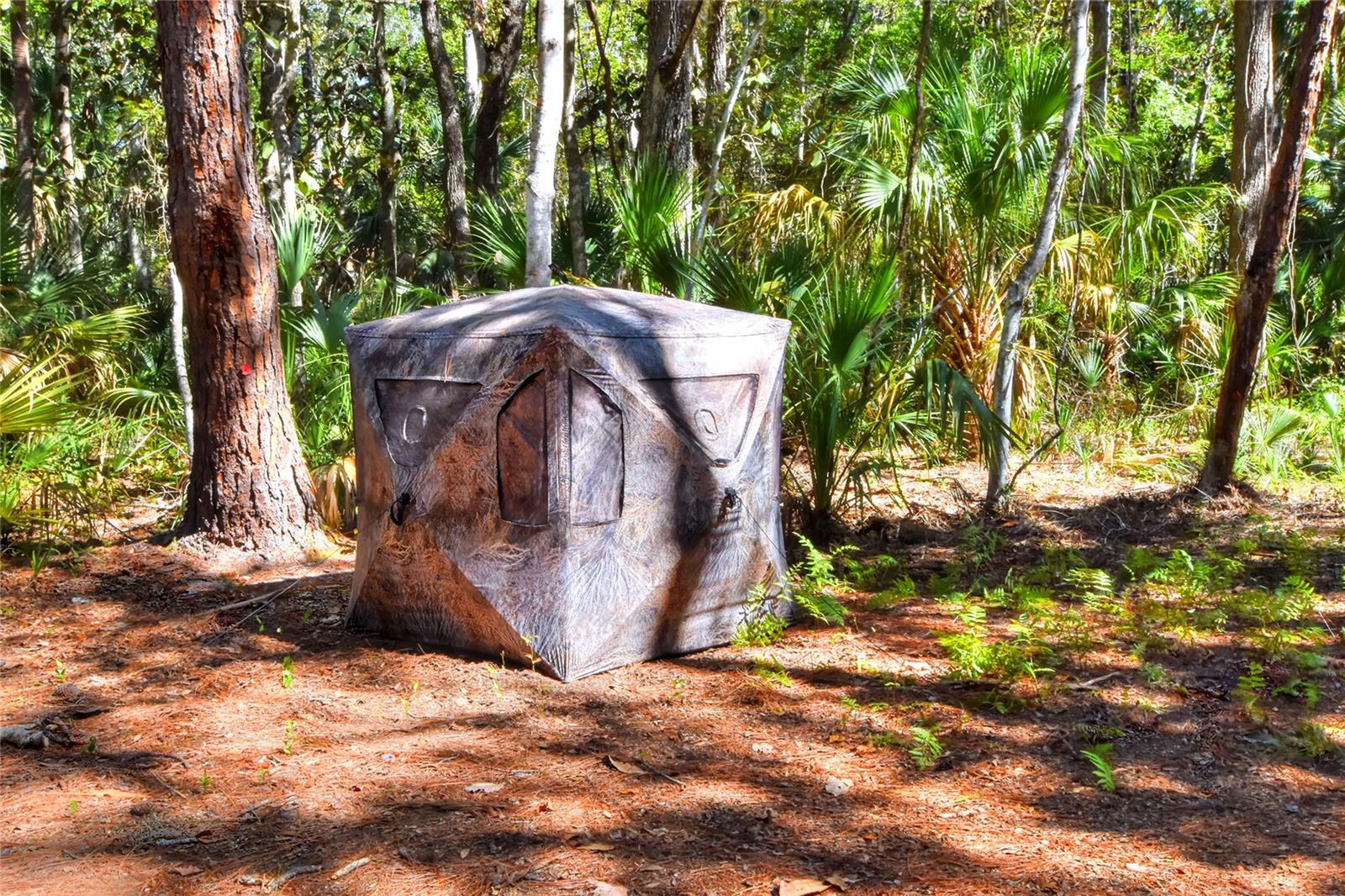 Image 26 of 32 For Pine Island Drive