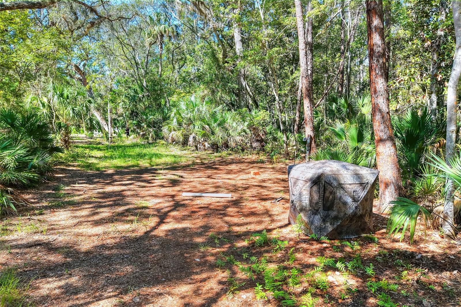 Image 27 of 32 For Pine Island Drive