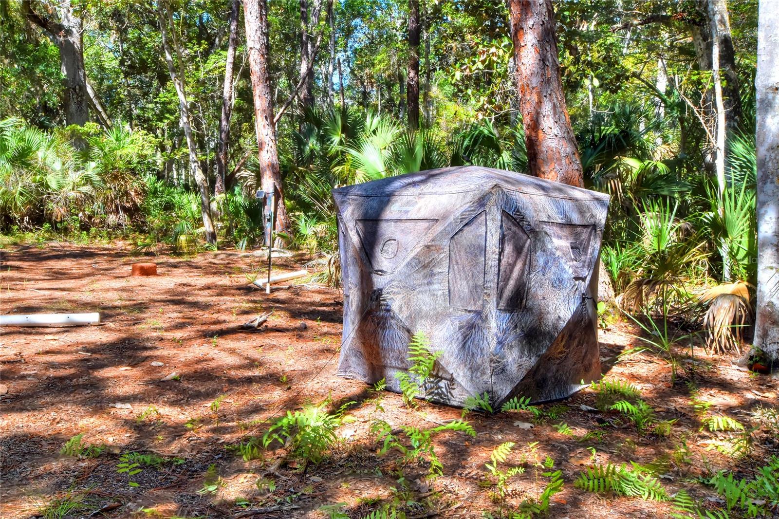 Image 28 of 32 For Pine Island Drive