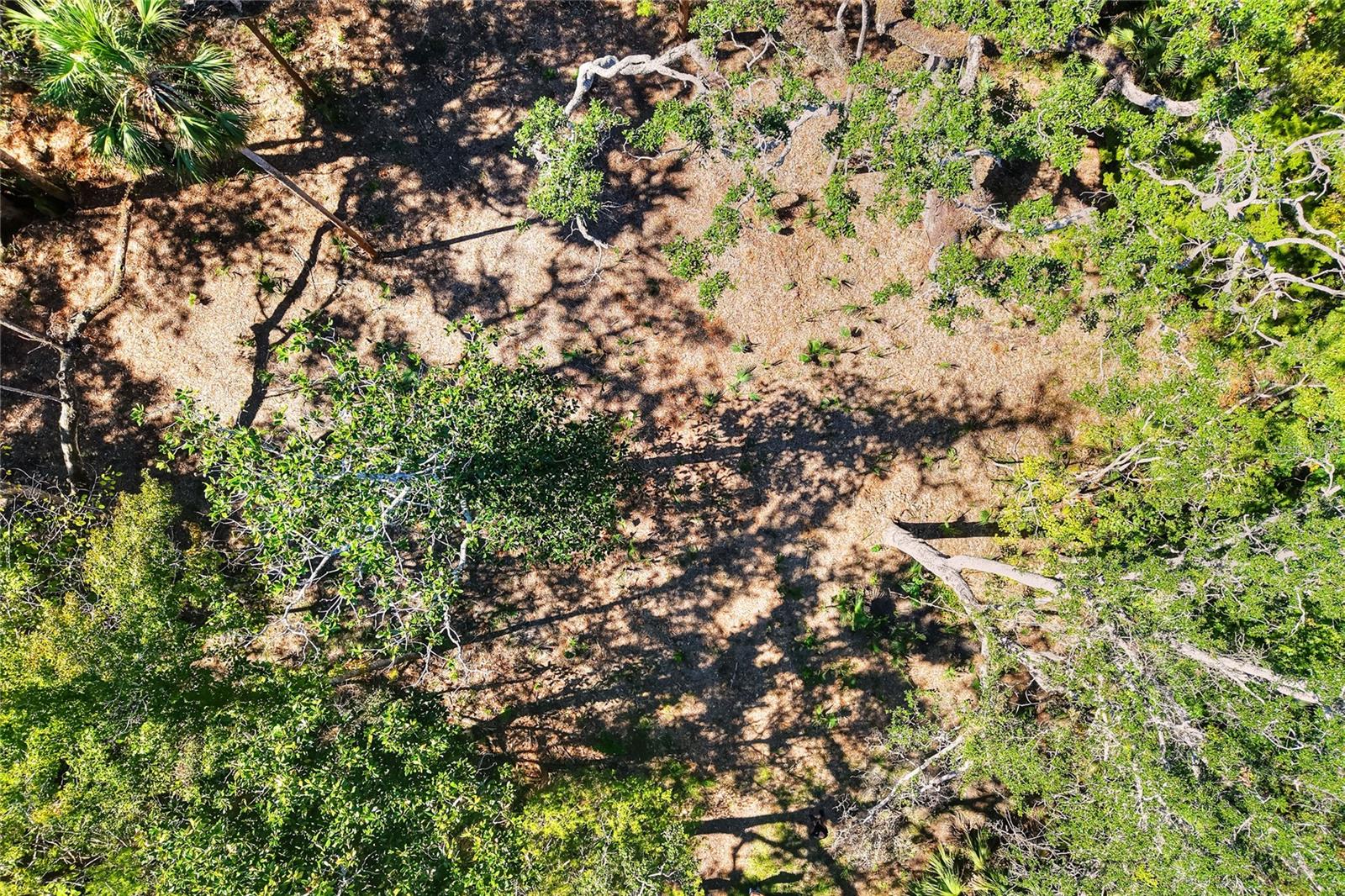 Image 30 of 32 For Pine Island Drive