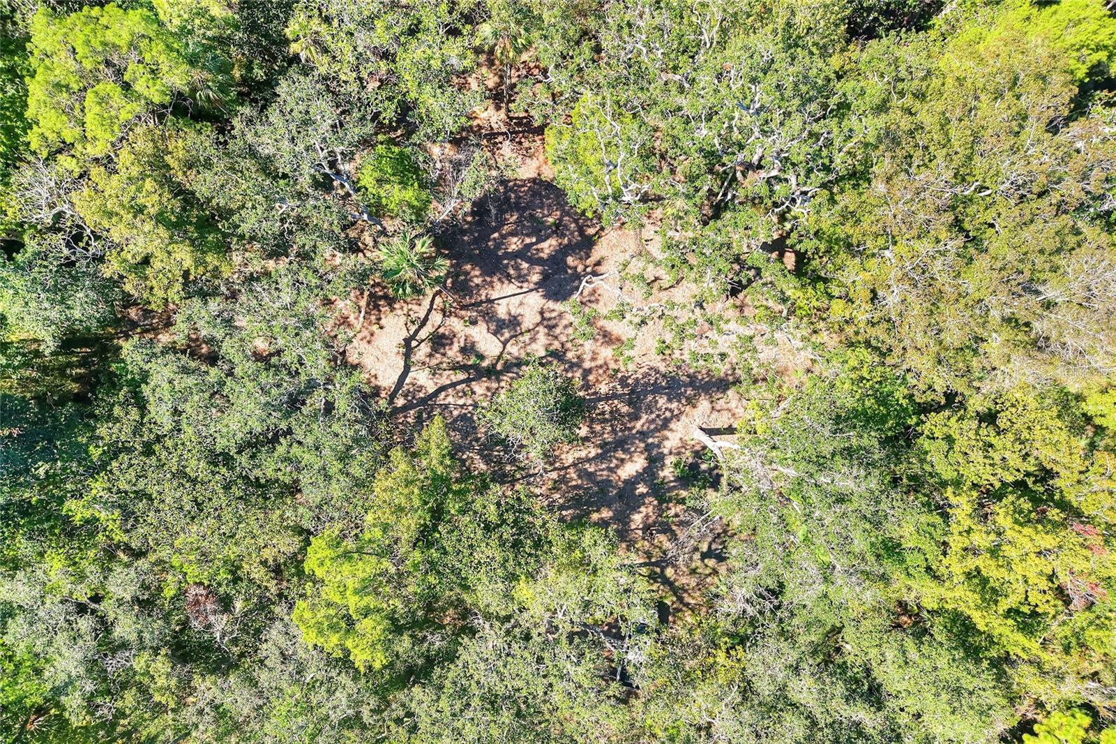 Image 31 of 32 For Pine Island Drive