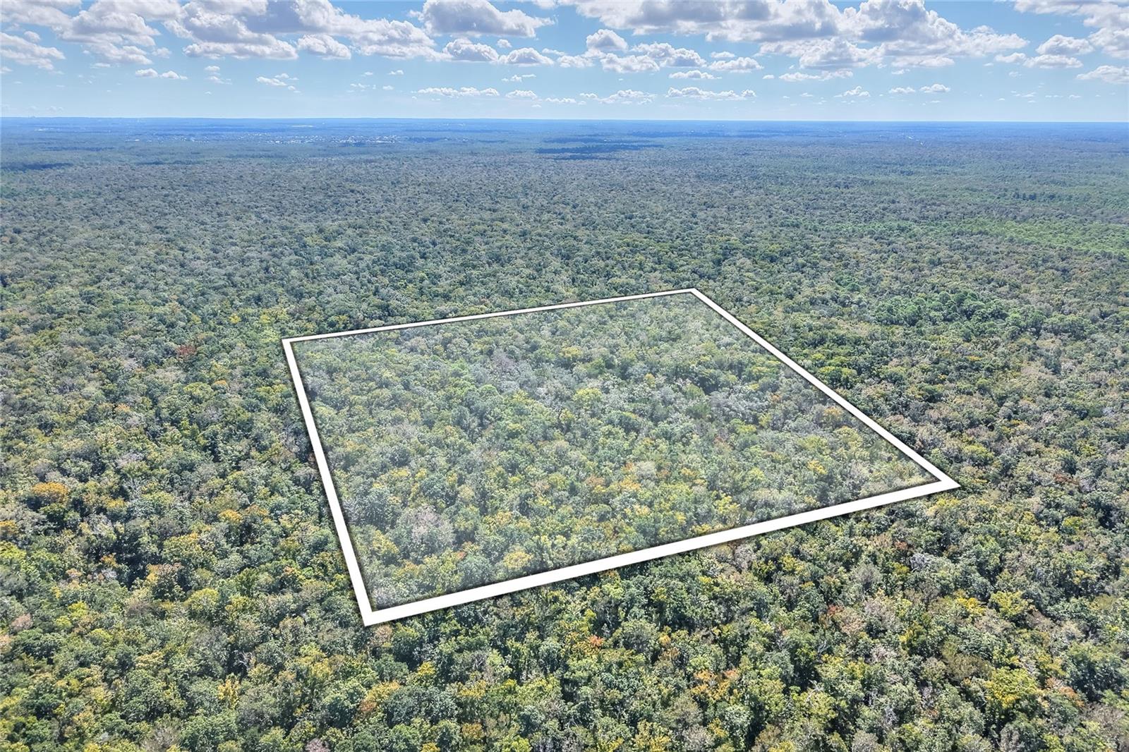 Image 32 of 32 For Pine Island Drive