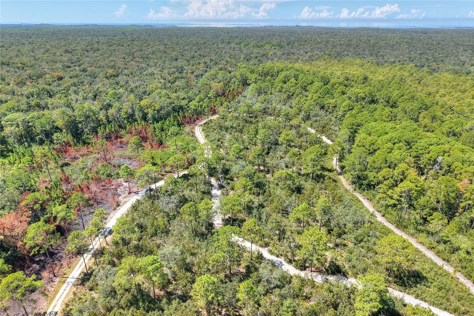 Image 5 of 32 For Pine Island Drive