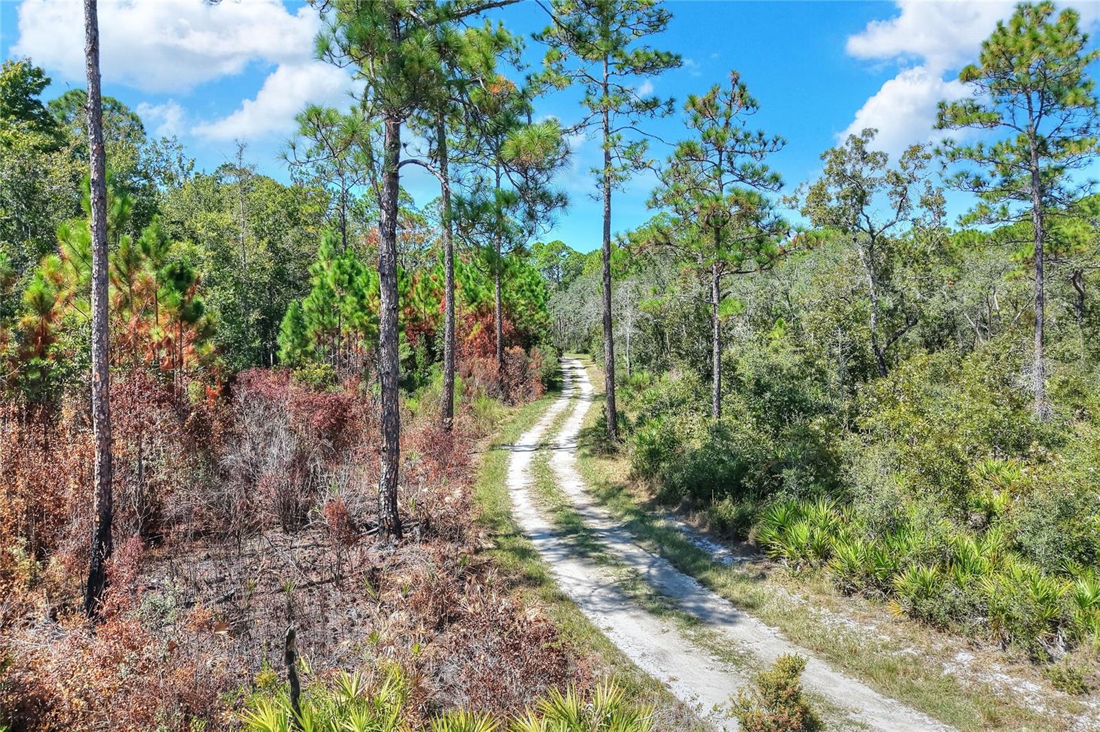 Image 6 of 32 For Pine Island Drive