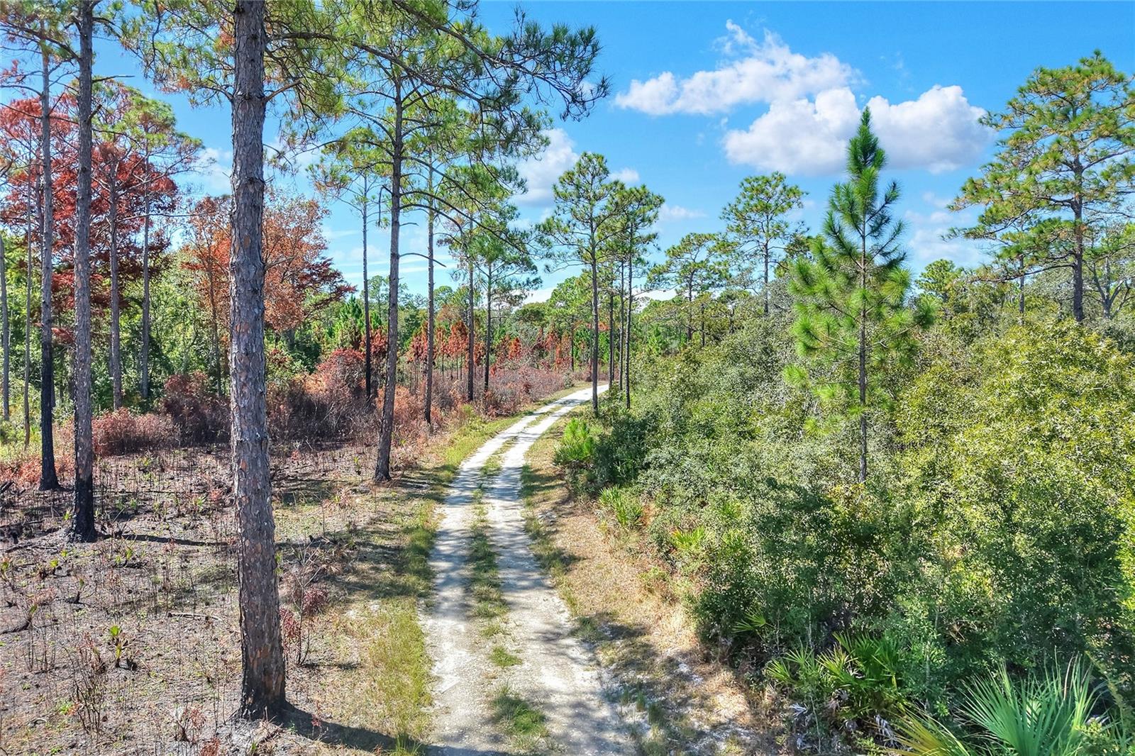 Image 7 of 32 For Pine Island Drive