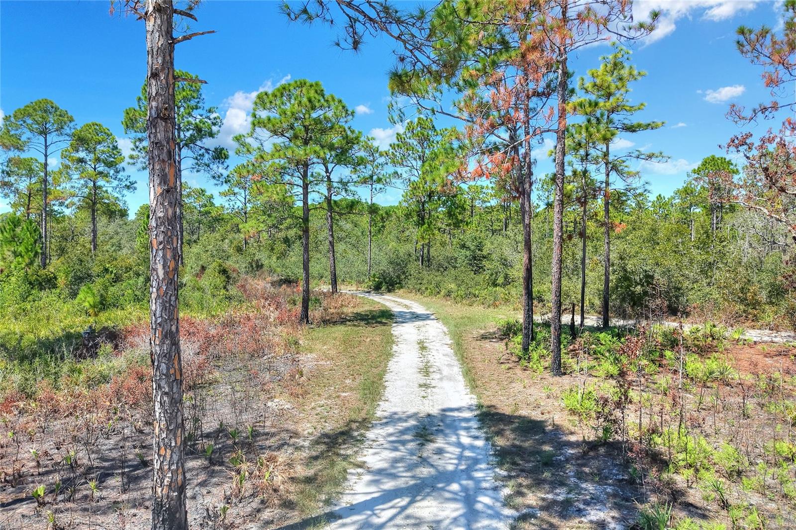 Image 8 of 32 For Pine Island Drive